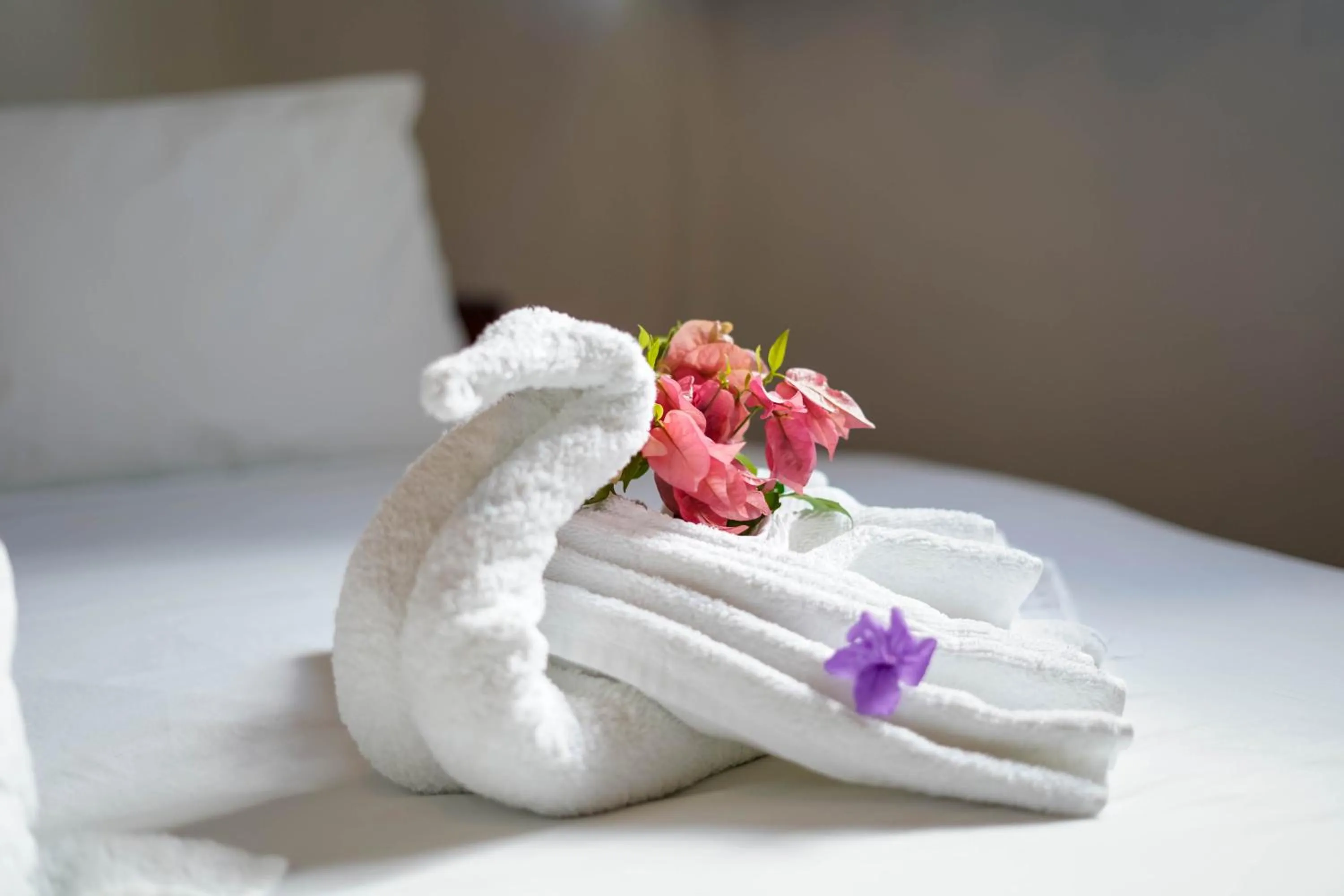 Decorative detail, Bed in Nuestra Casa