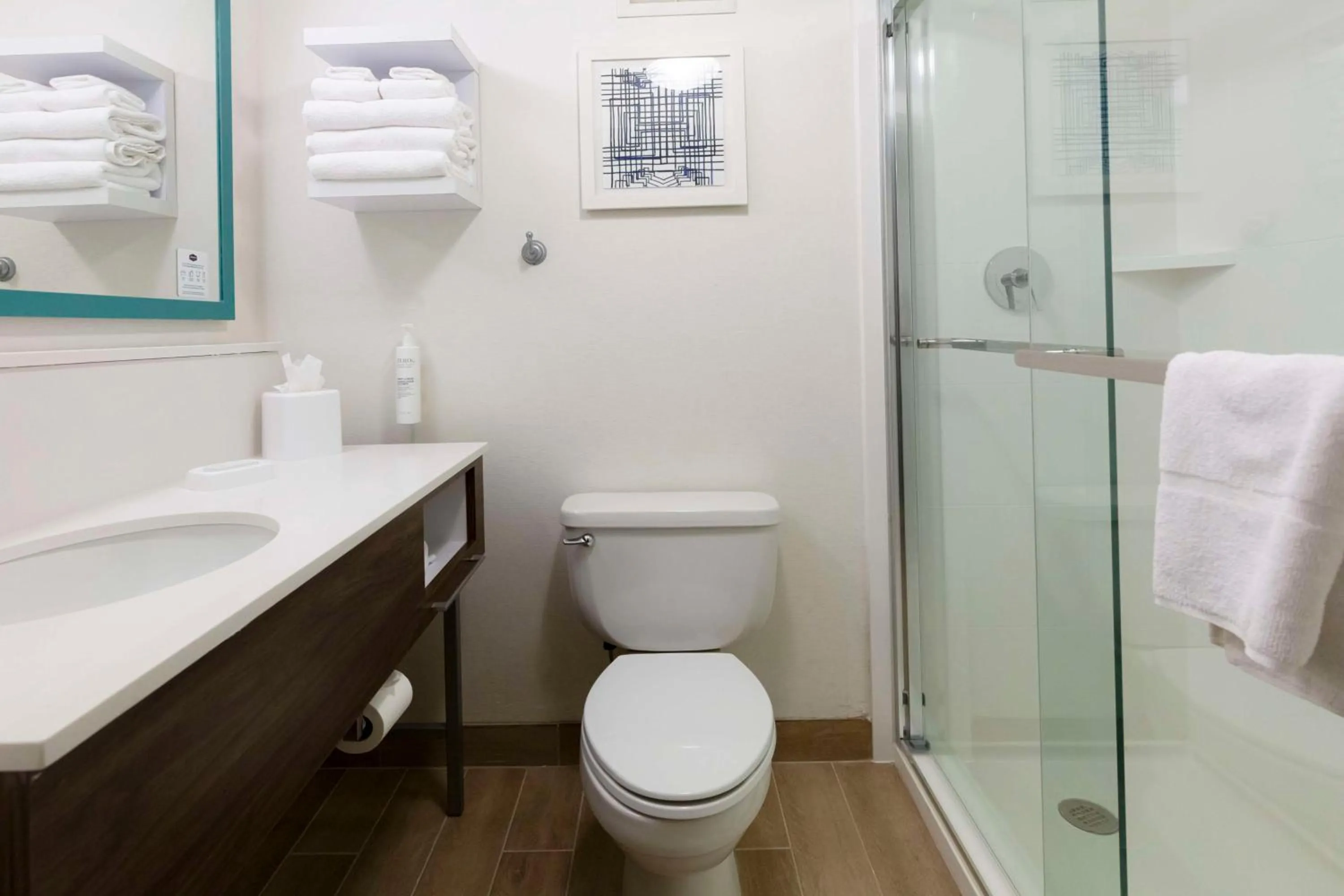 Bathroom in Hampton Inn Scranton at Montage Mountain