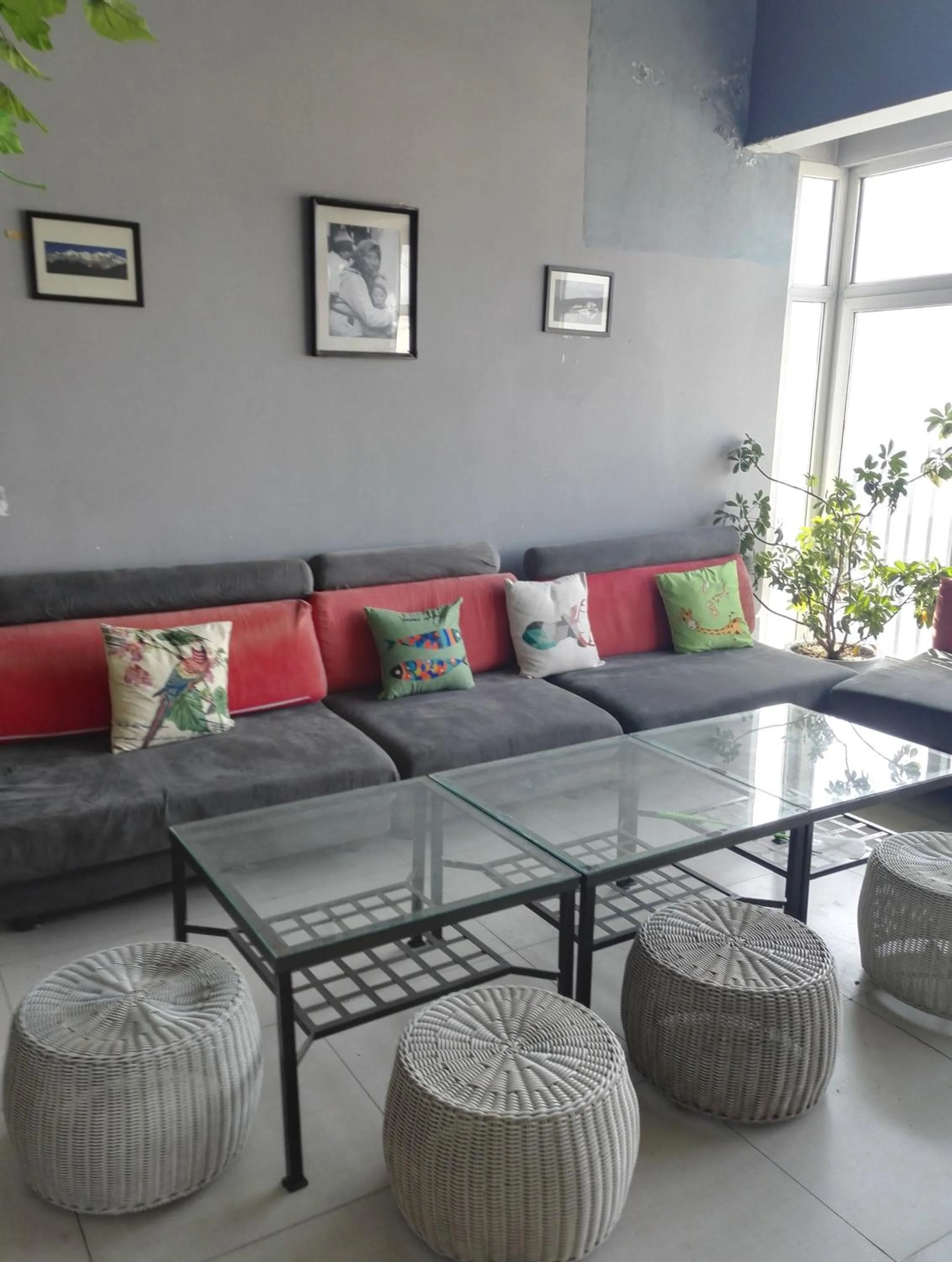 Communal lounge/ TV room in LETE Hostel