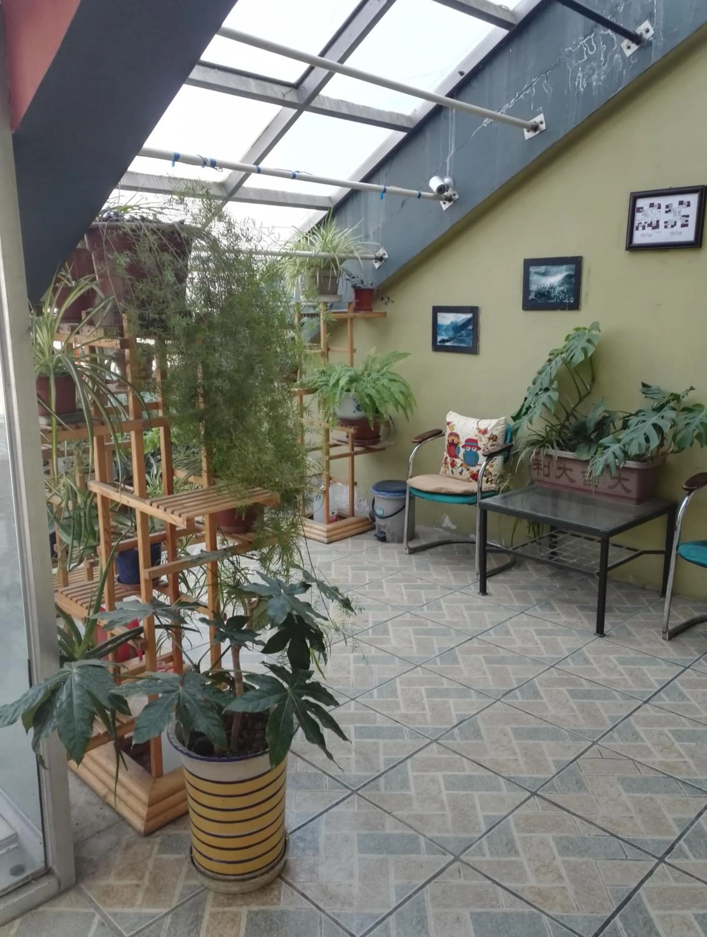 Garden in LETE Hostel