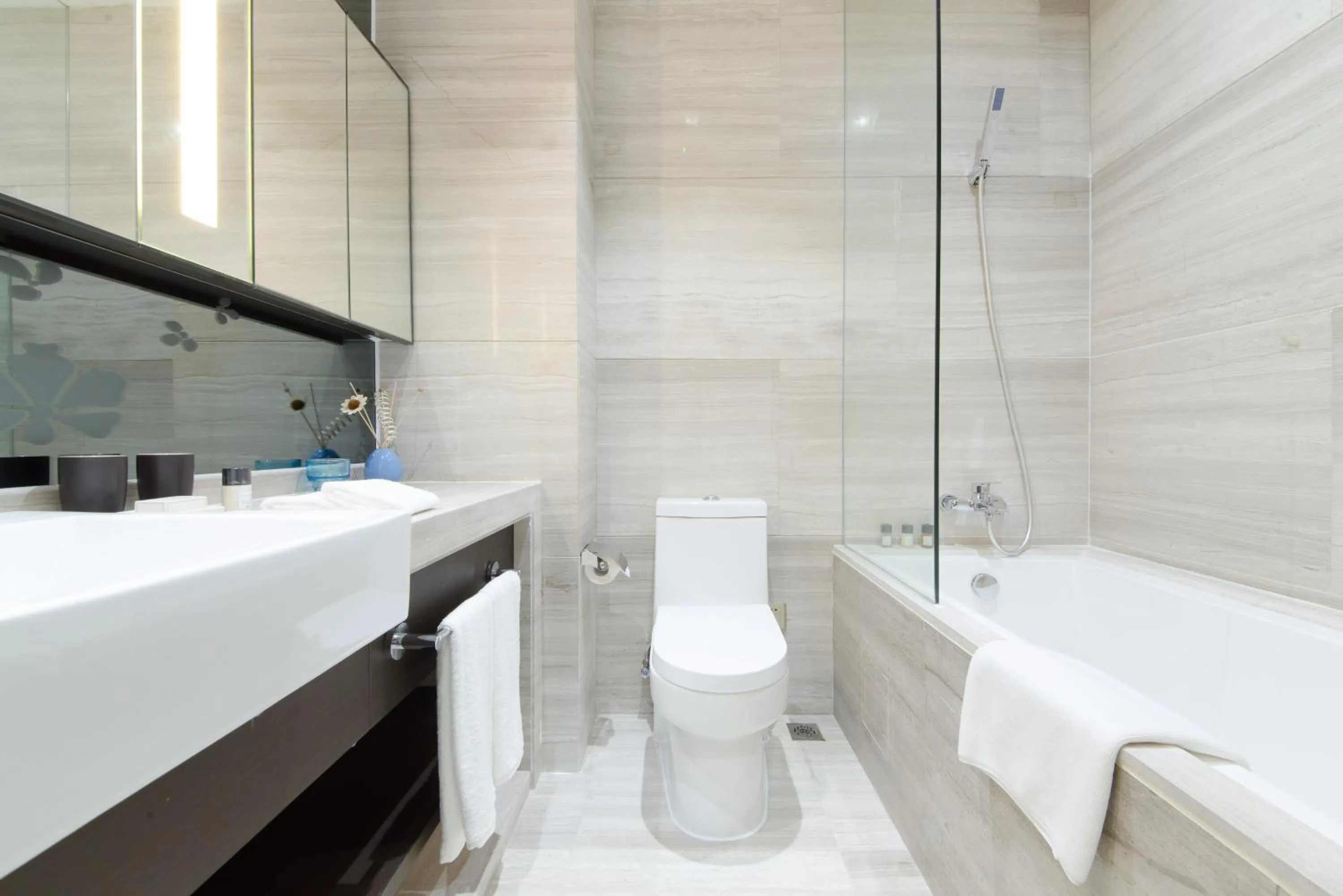 Savills Residence Daxin Shenzhen Bay