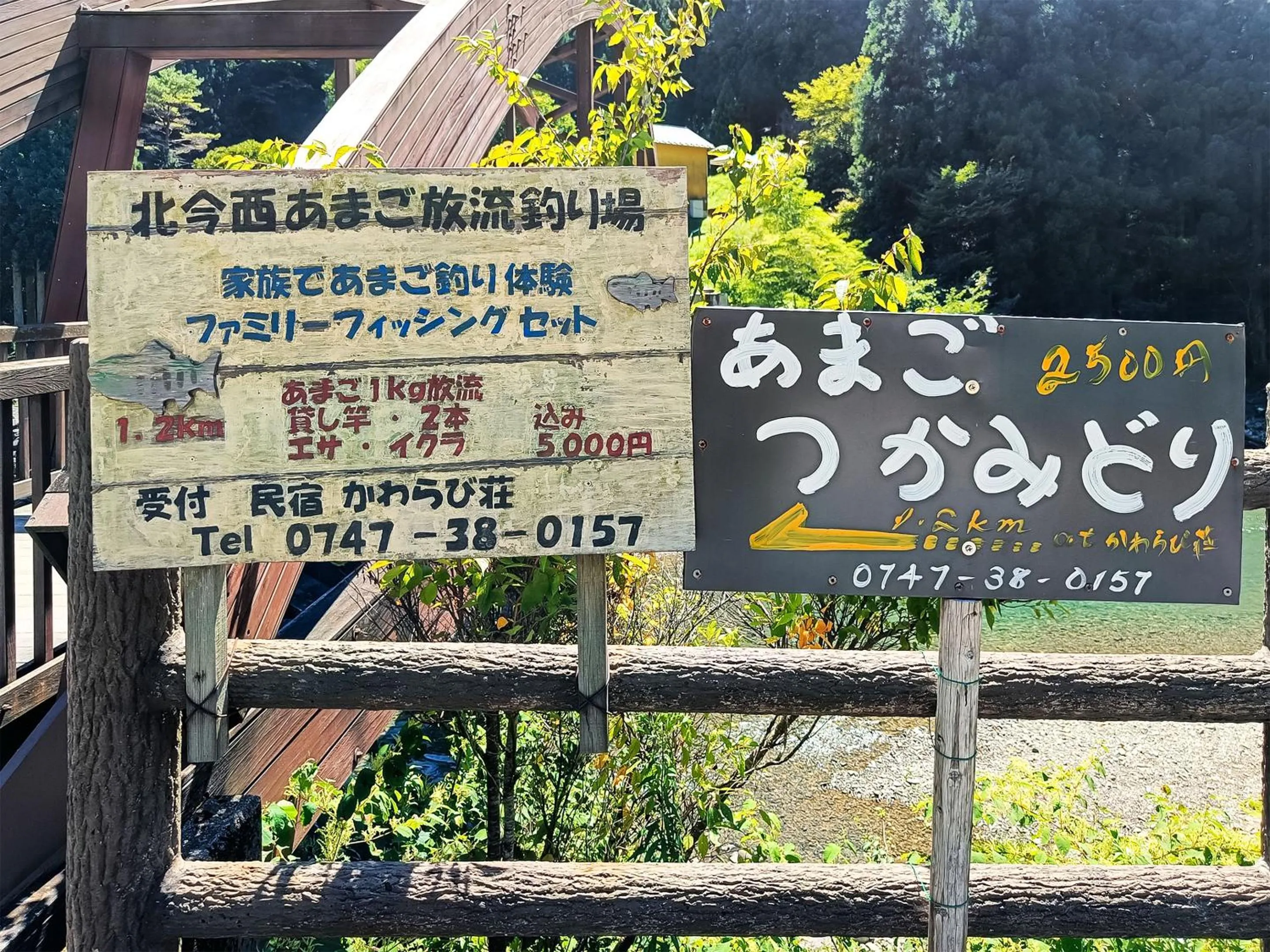 Fishing in Hotel Nosegawa