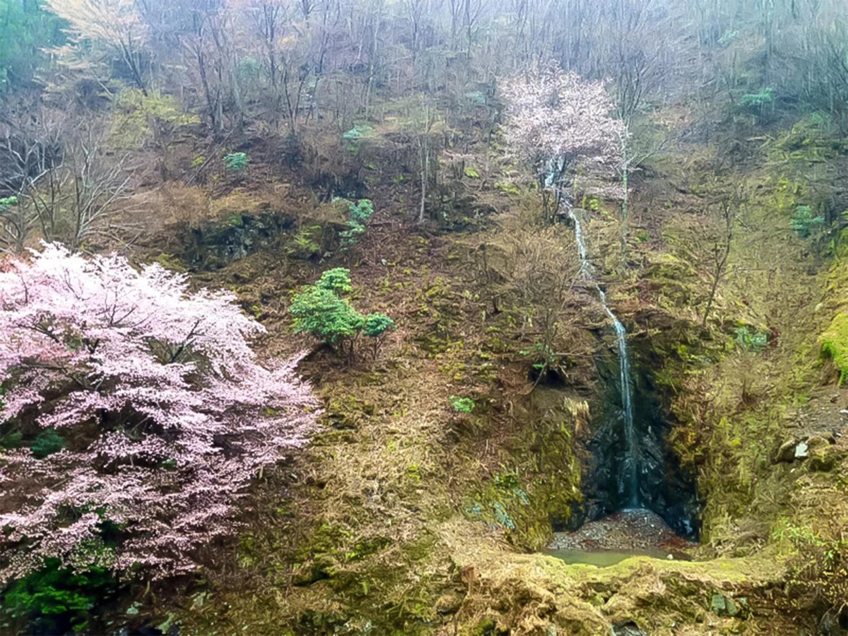 Lake view in Hotel Nosegawa