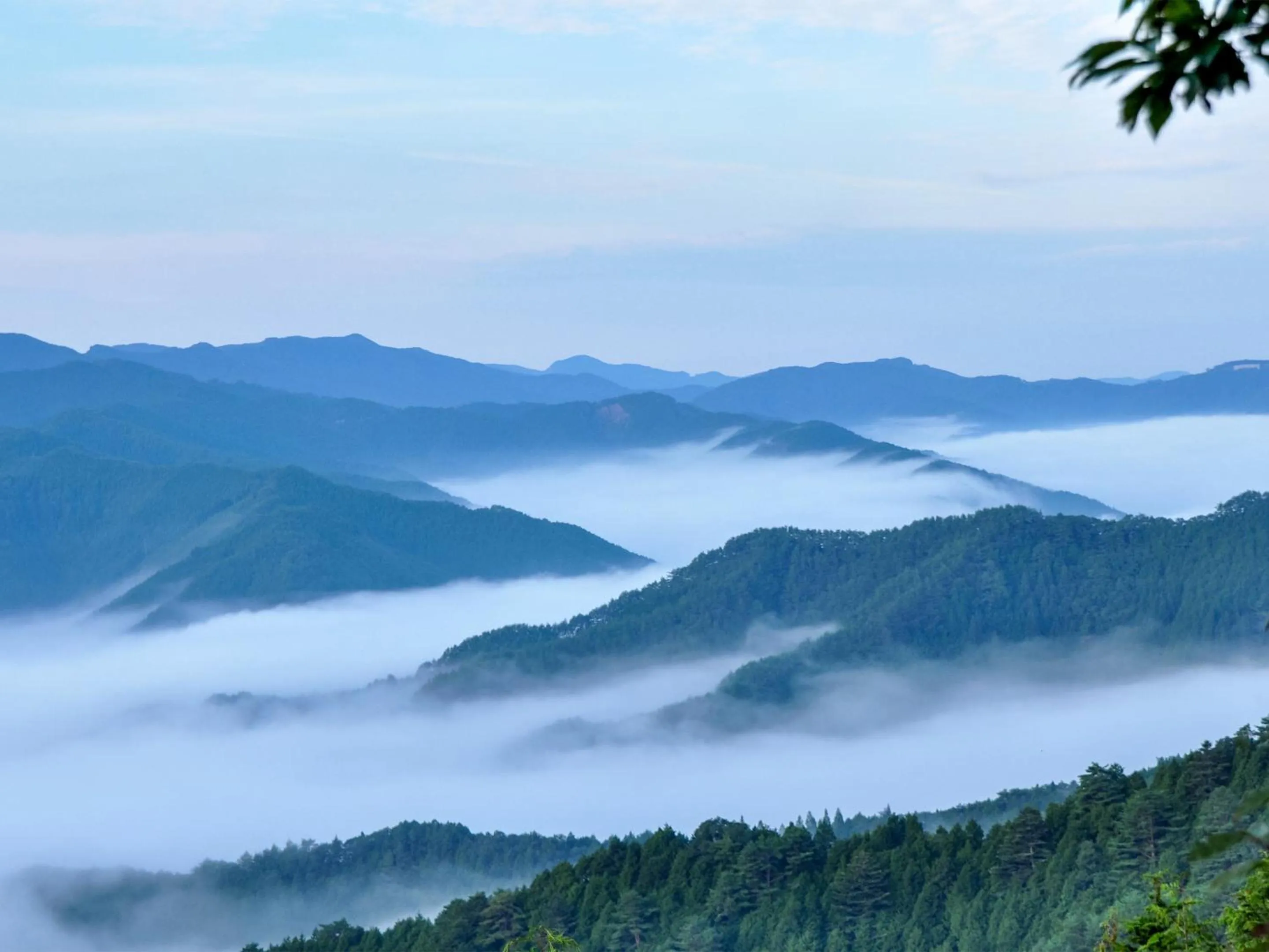 Nearby landmark in Hotel Nosegawa