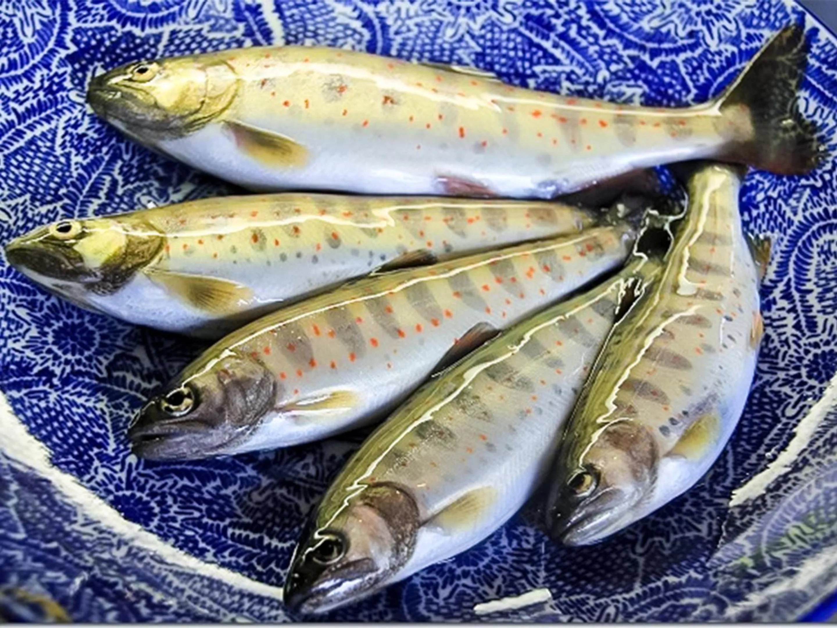 Food in Hotel Nosegawa