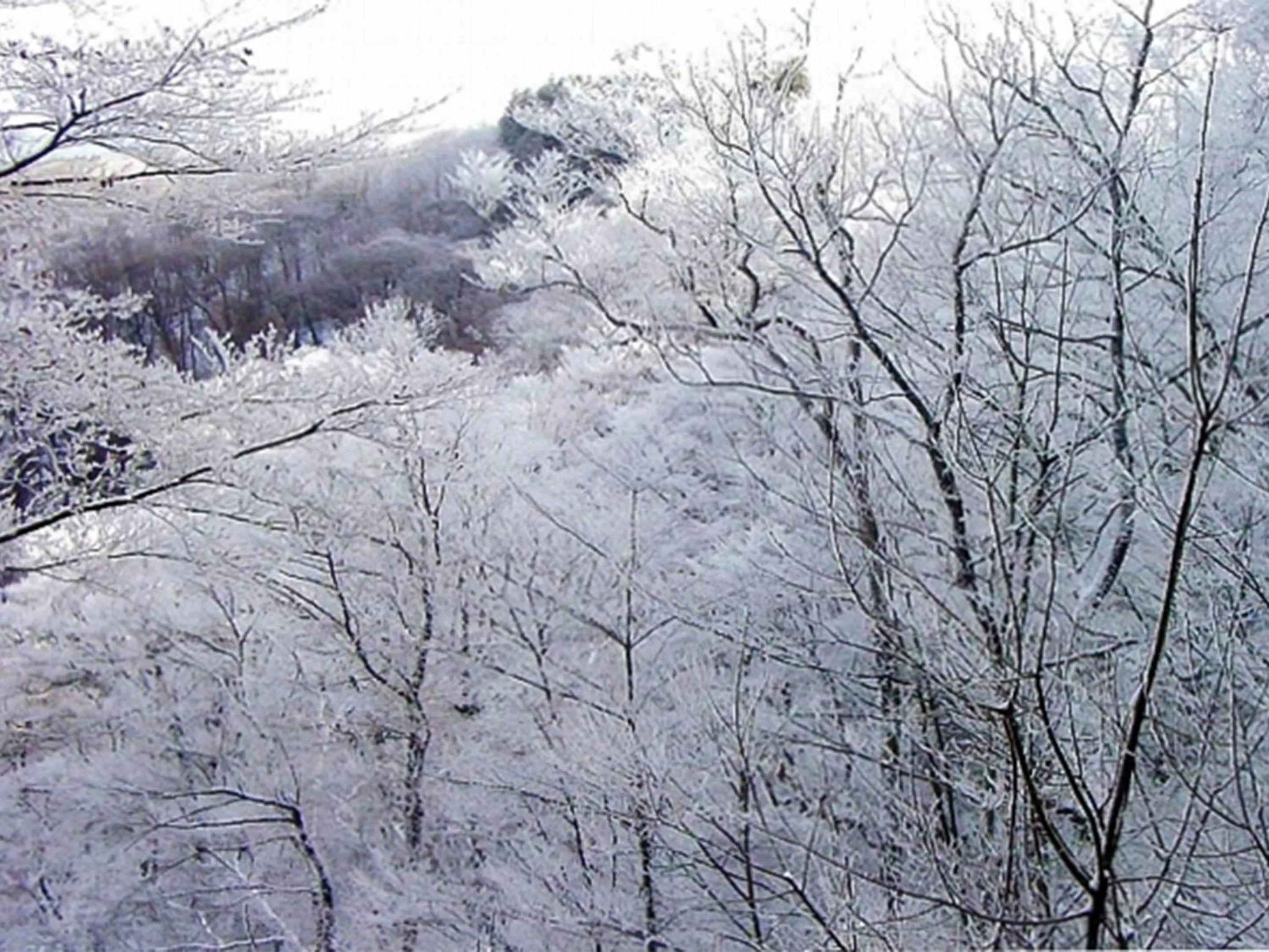 Off site in Hotel Nosegawa