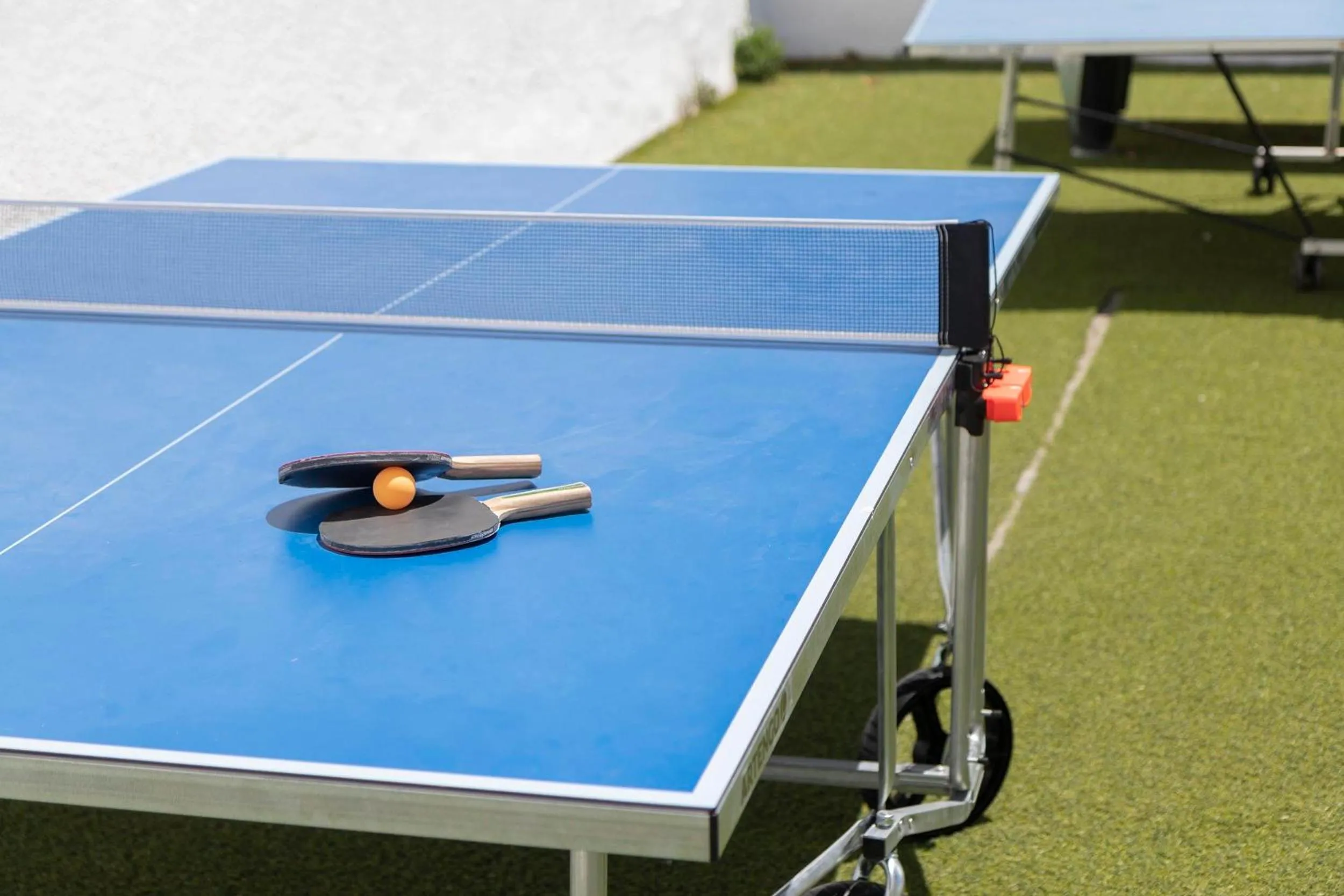 Table tennis in Hotel Palia Las Palomas