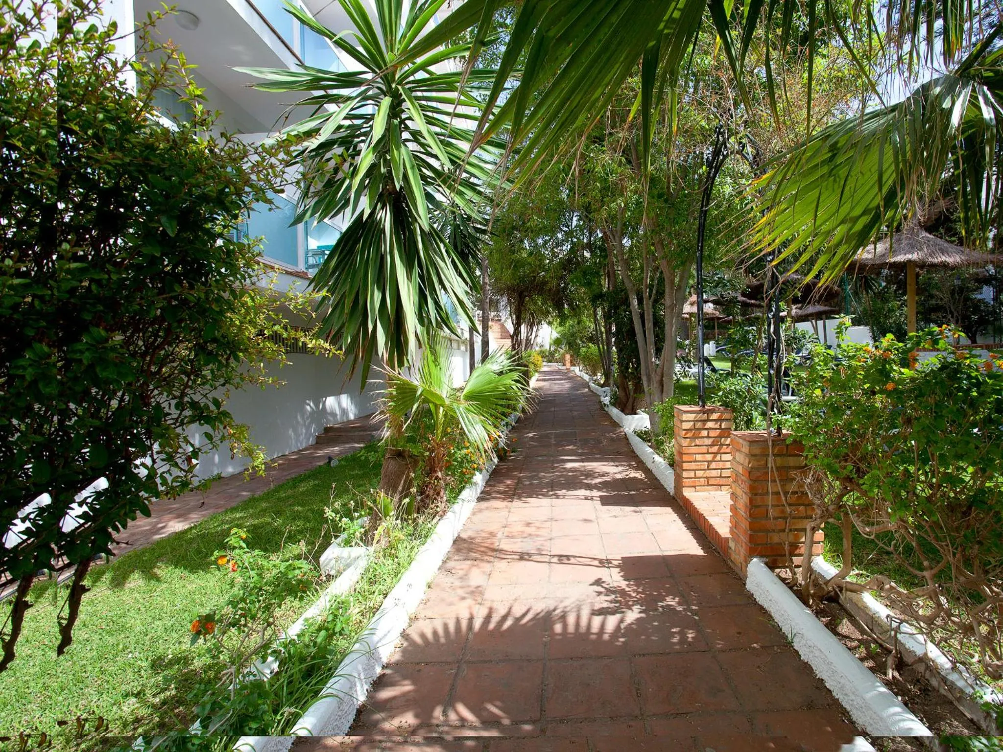 Garden in Hotel Palia Las Palomas