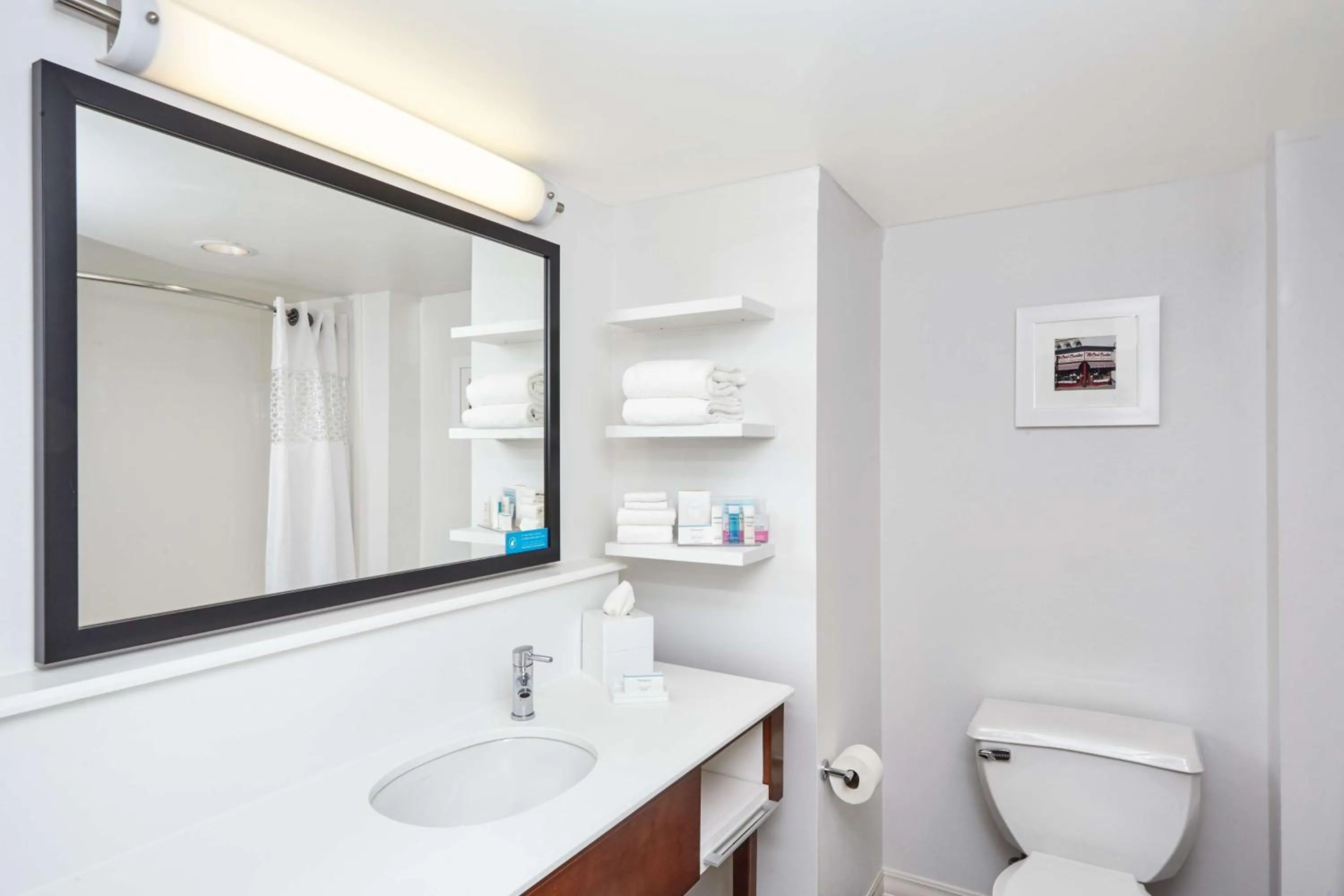 Bathroom in Hampton Inn Lafayette