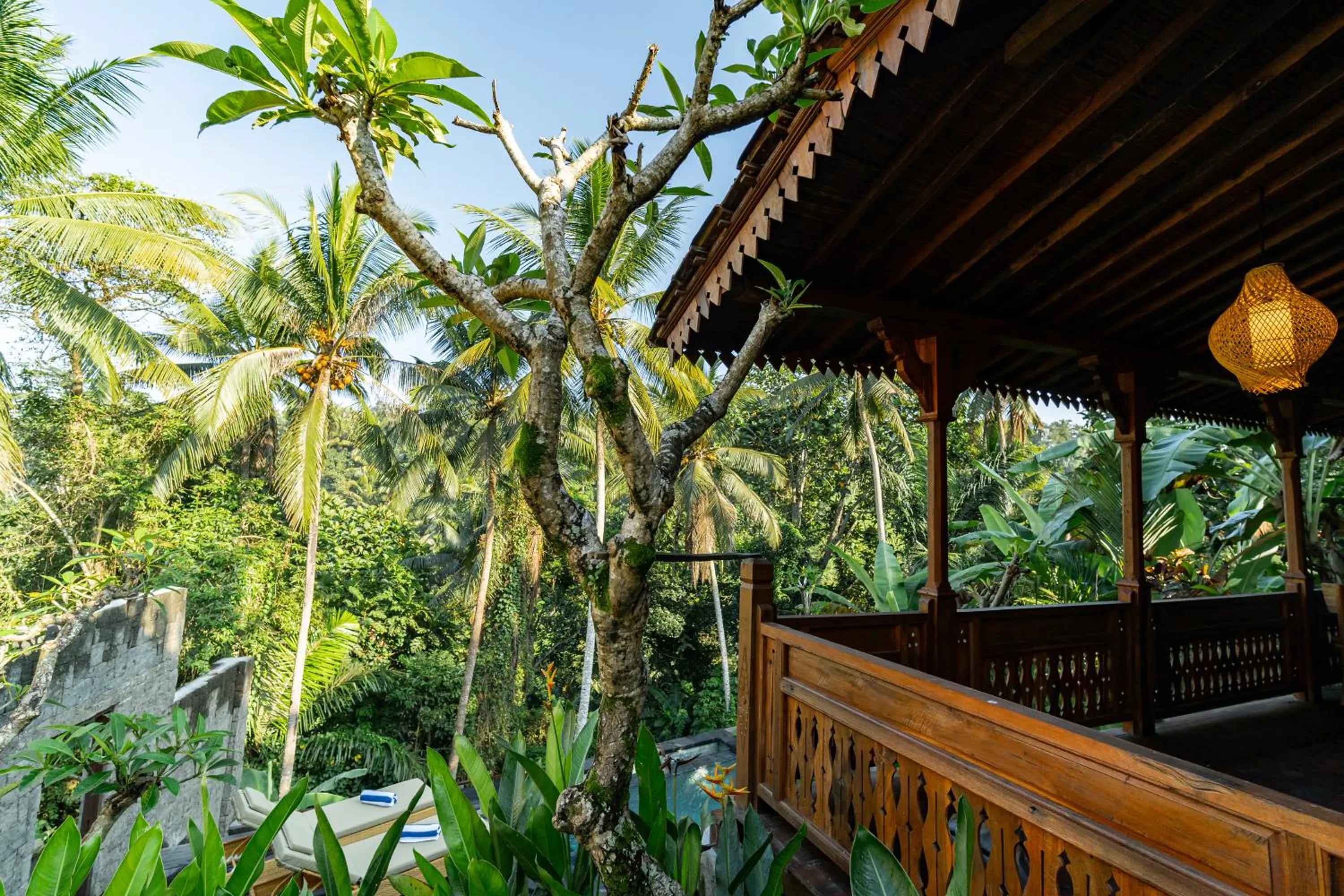 Natural landscape in Madani Antique Villas