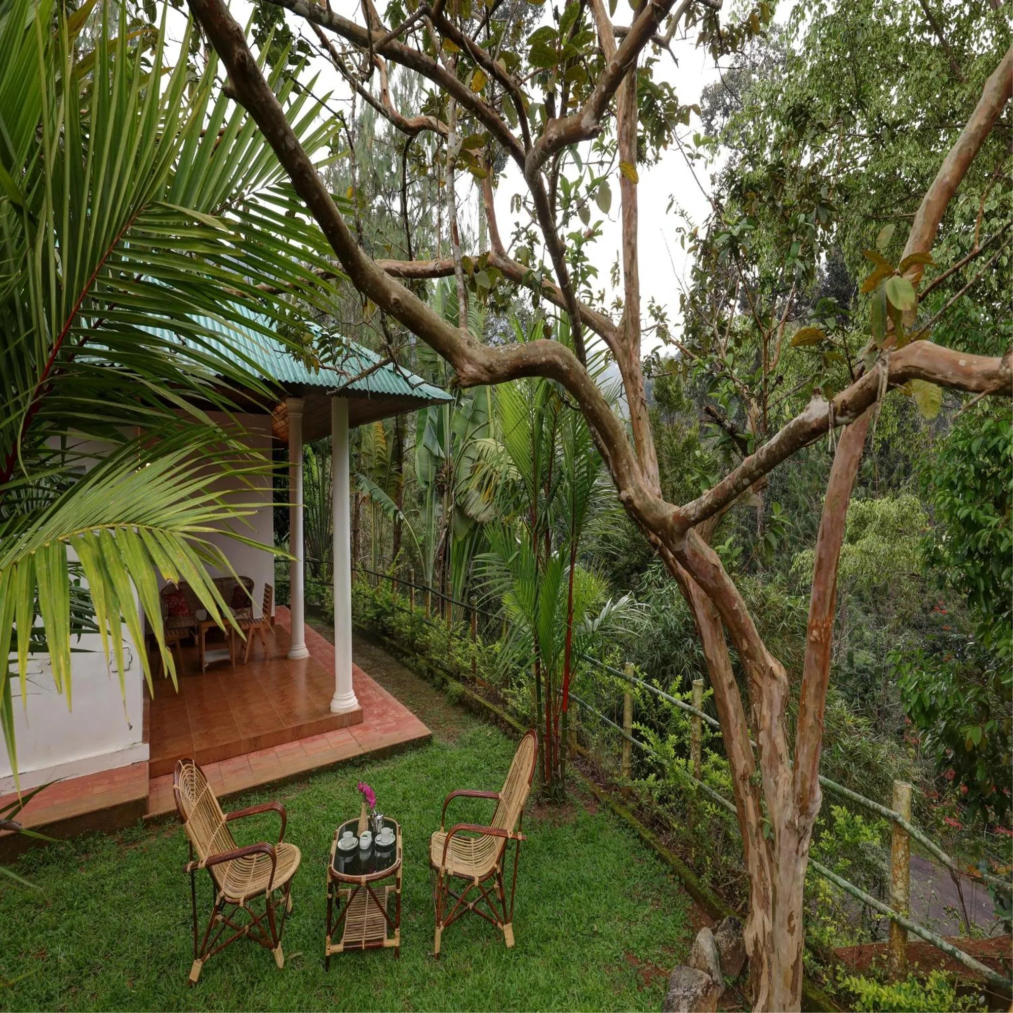 View (from property/room) in Dew Drops Farm Resorts