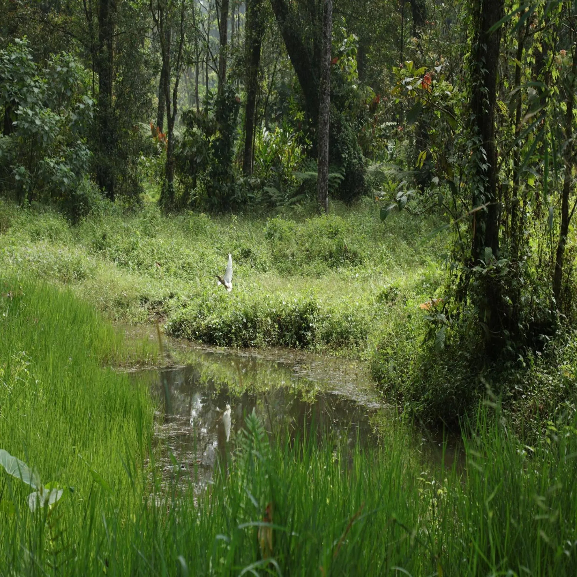 Fishing in Dew Drops Farm Resorts