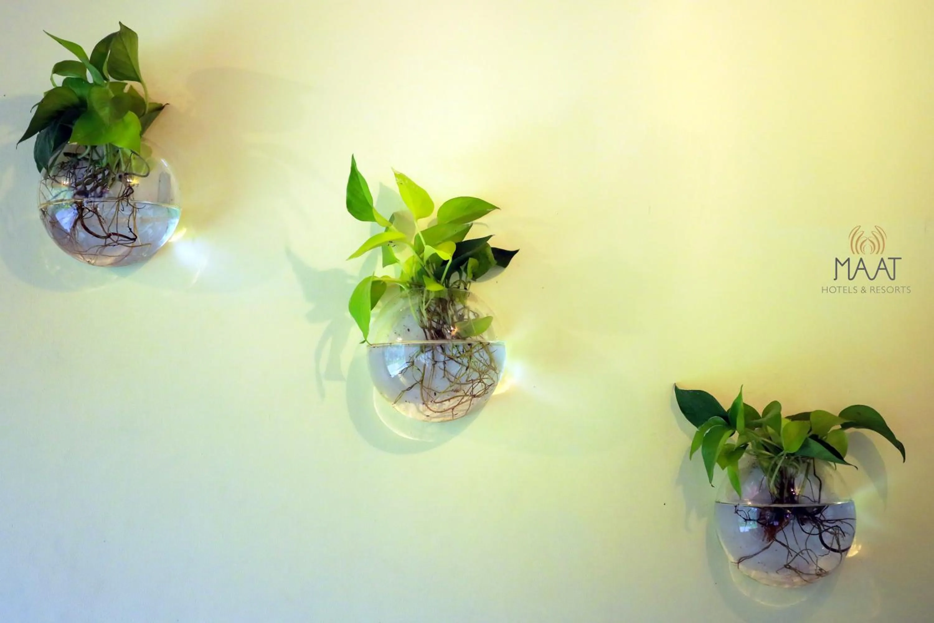 Lobby or reception in Dew Drops Farm Resorts