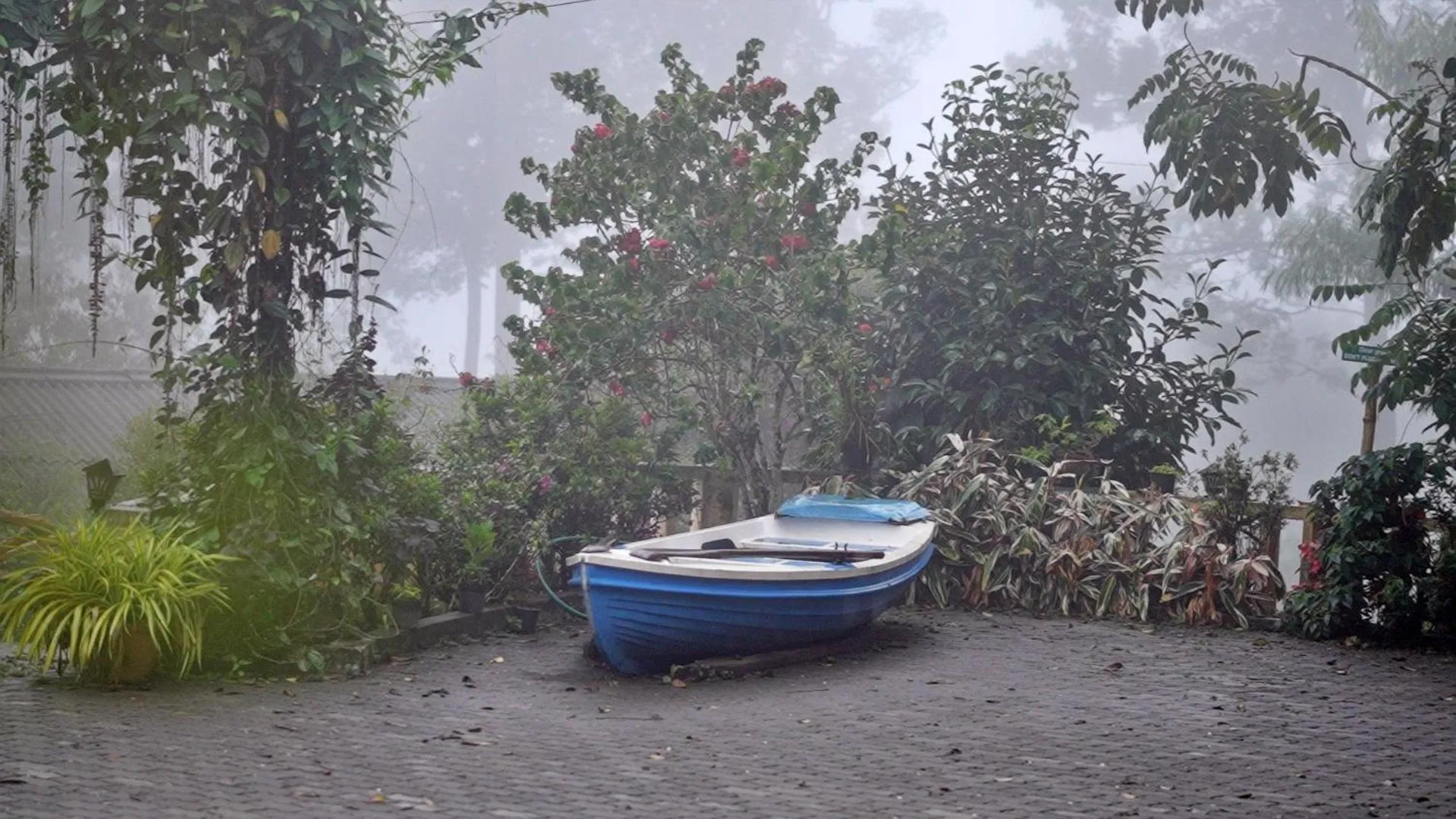Garden in Dew Drops Farm Resorts