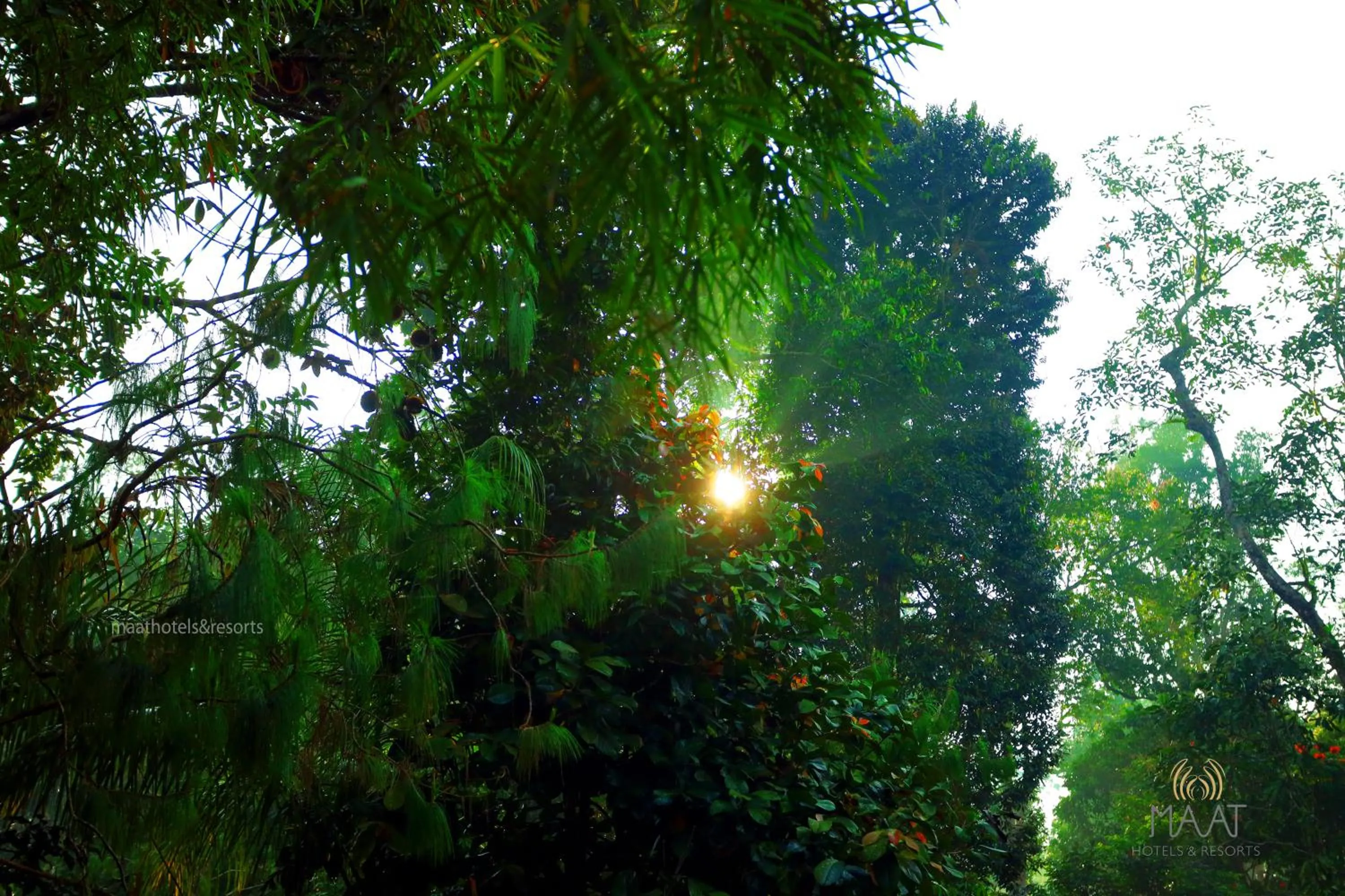 Day in Dew Drops Farm Resorts