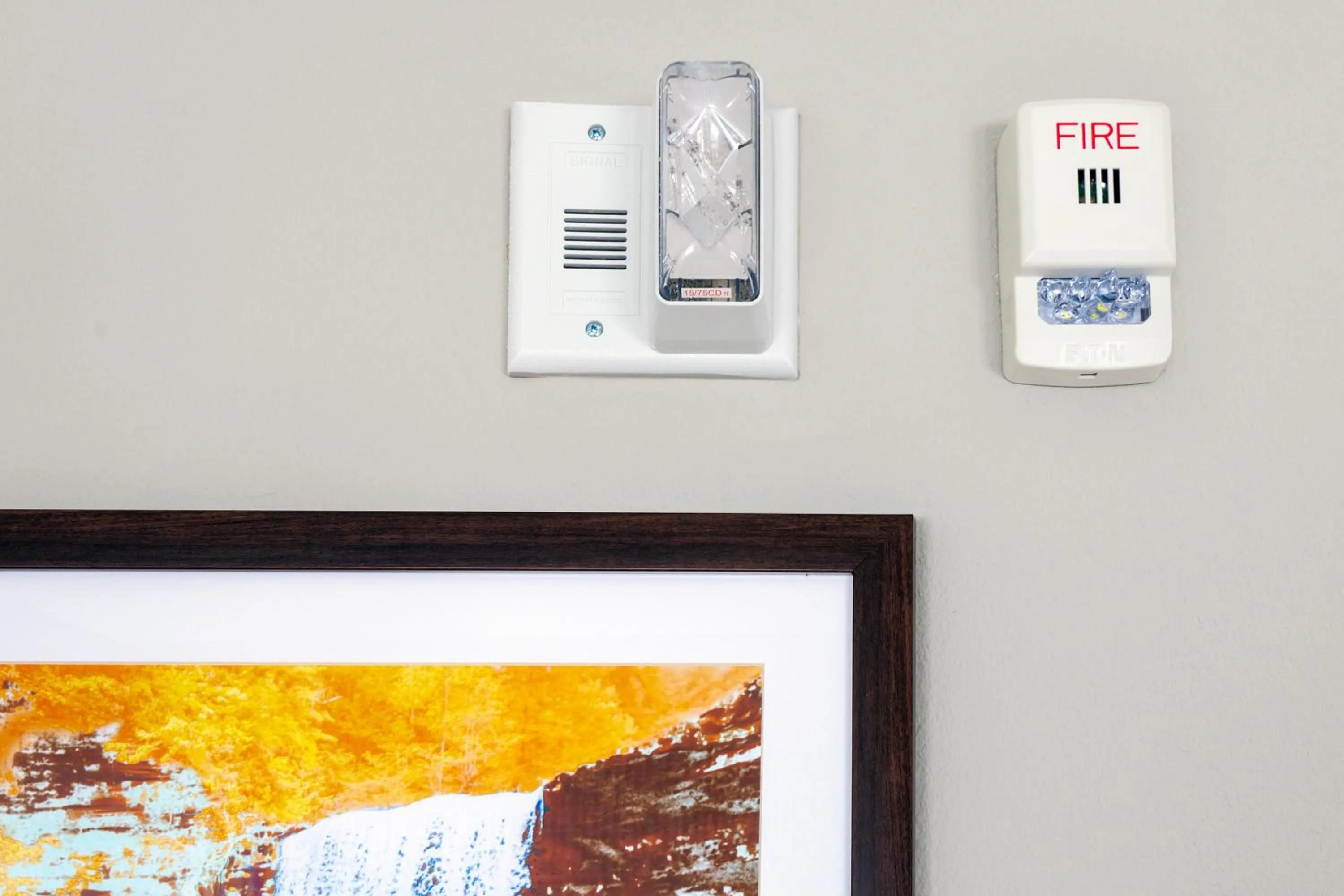 acessibility in Hampton Inn & Suites Murfreesboro