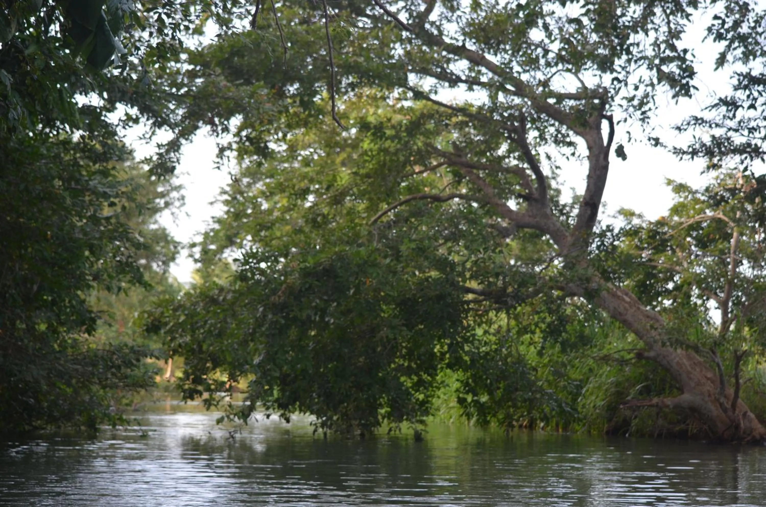 River view in Makulu Safari Camping
