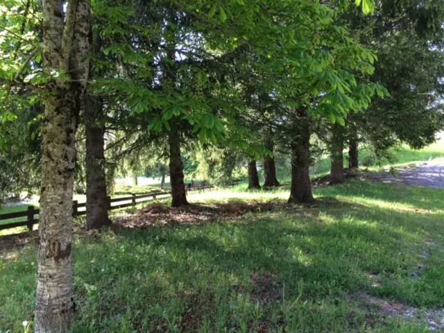 Garden in Park Hotel Miramonti