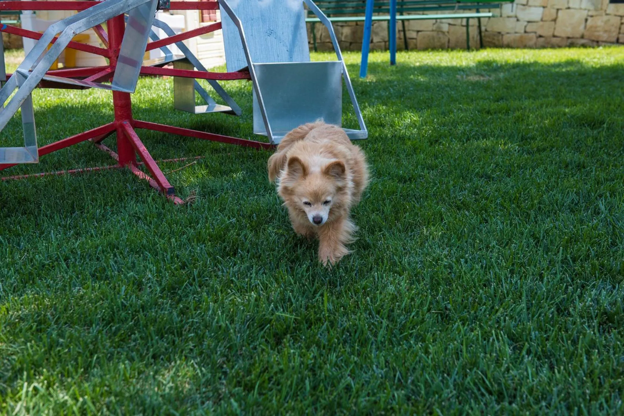Garden in Agriturismo Salinola