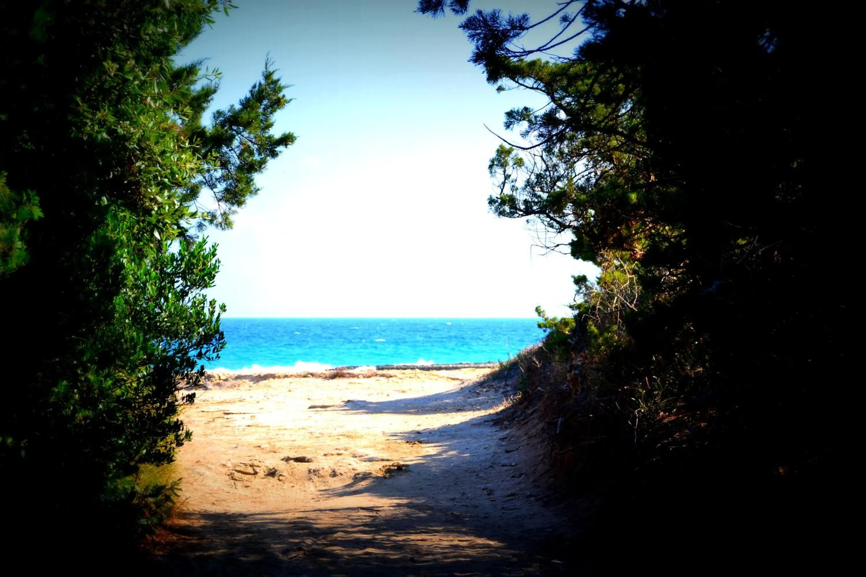 View (from property/room) in Agriturismo Salinola