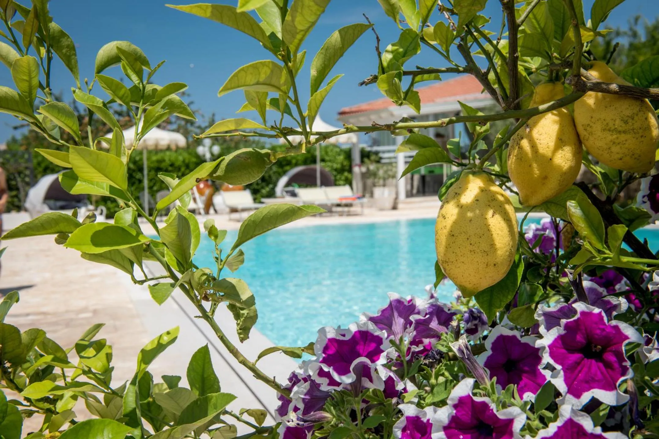 Garden in Agriturismo Salinola