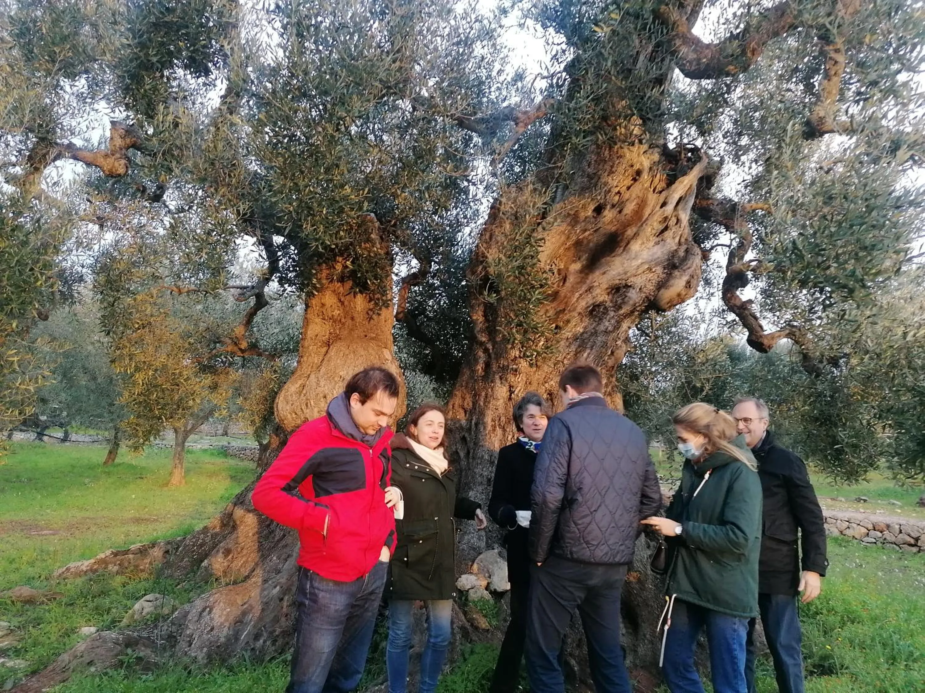 Agriturismo Salinola