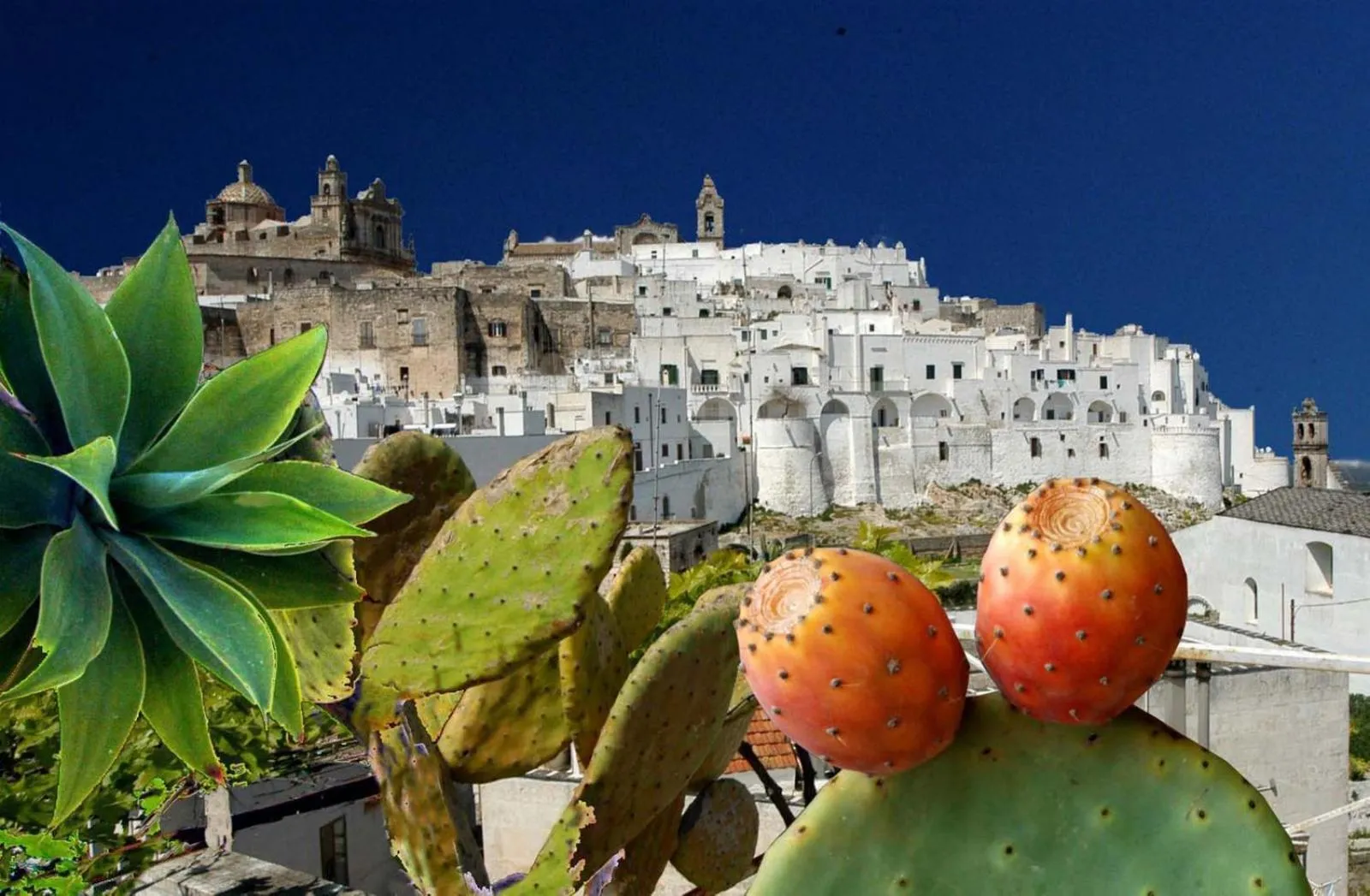 Agriturismo Salinola