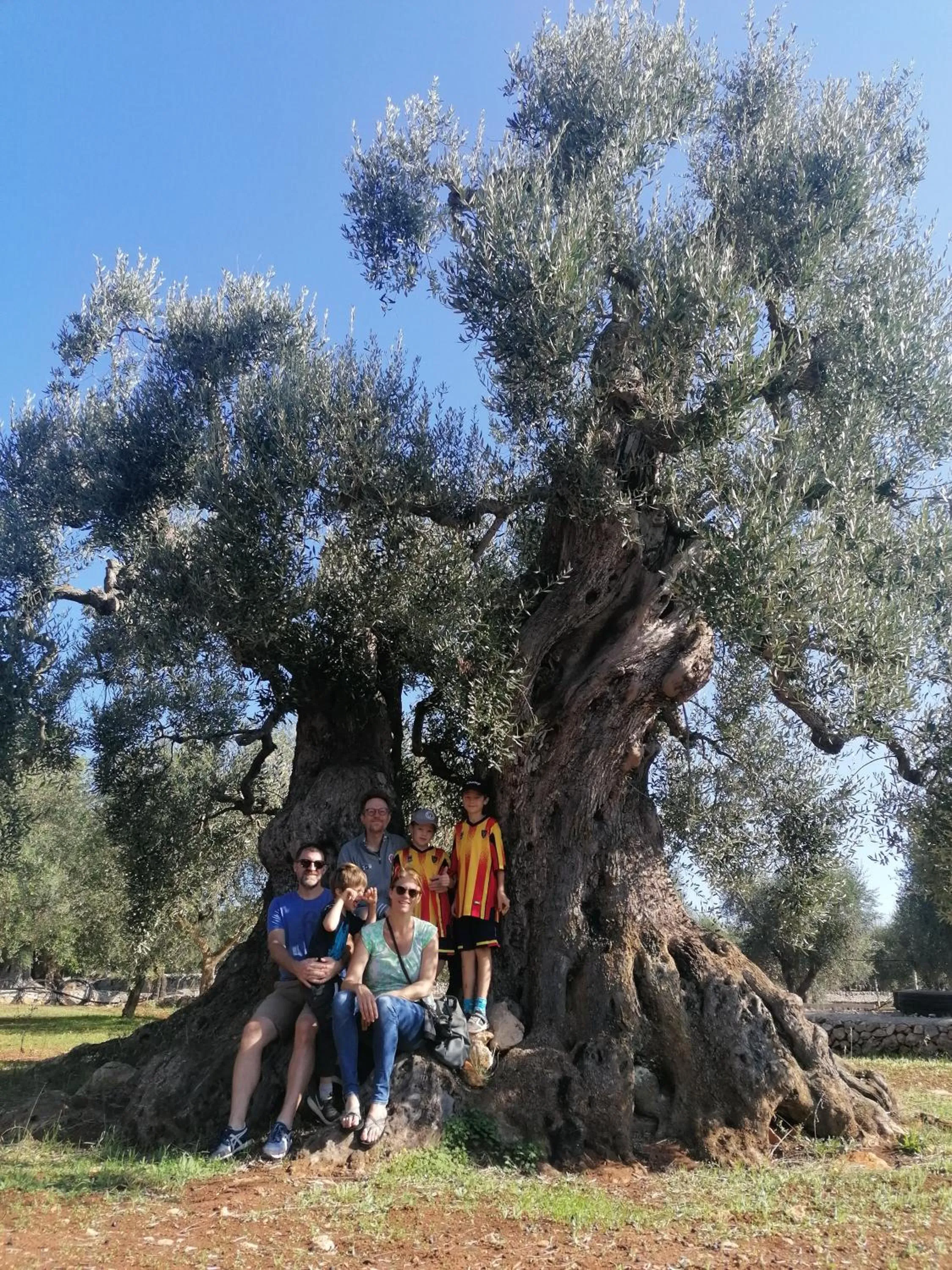 Agriturismo Salinola