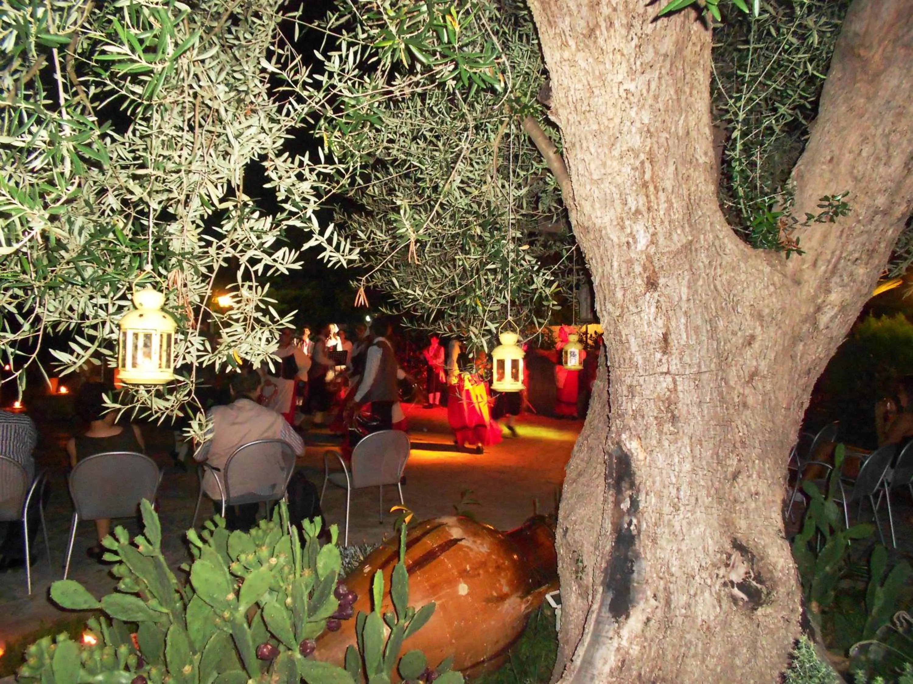 Activities in Agriturismo Salinola