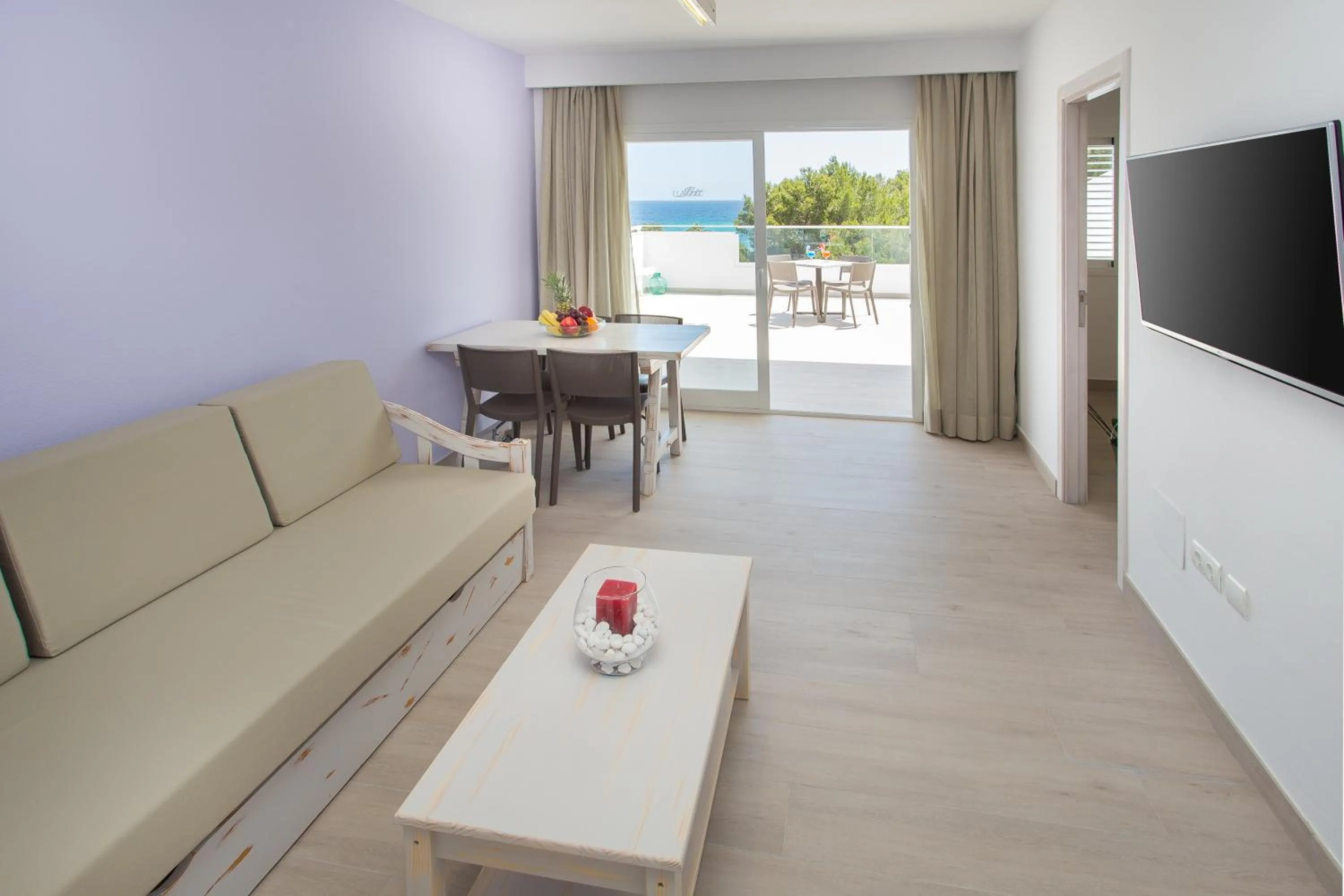 TV and multimedia in Typic Art