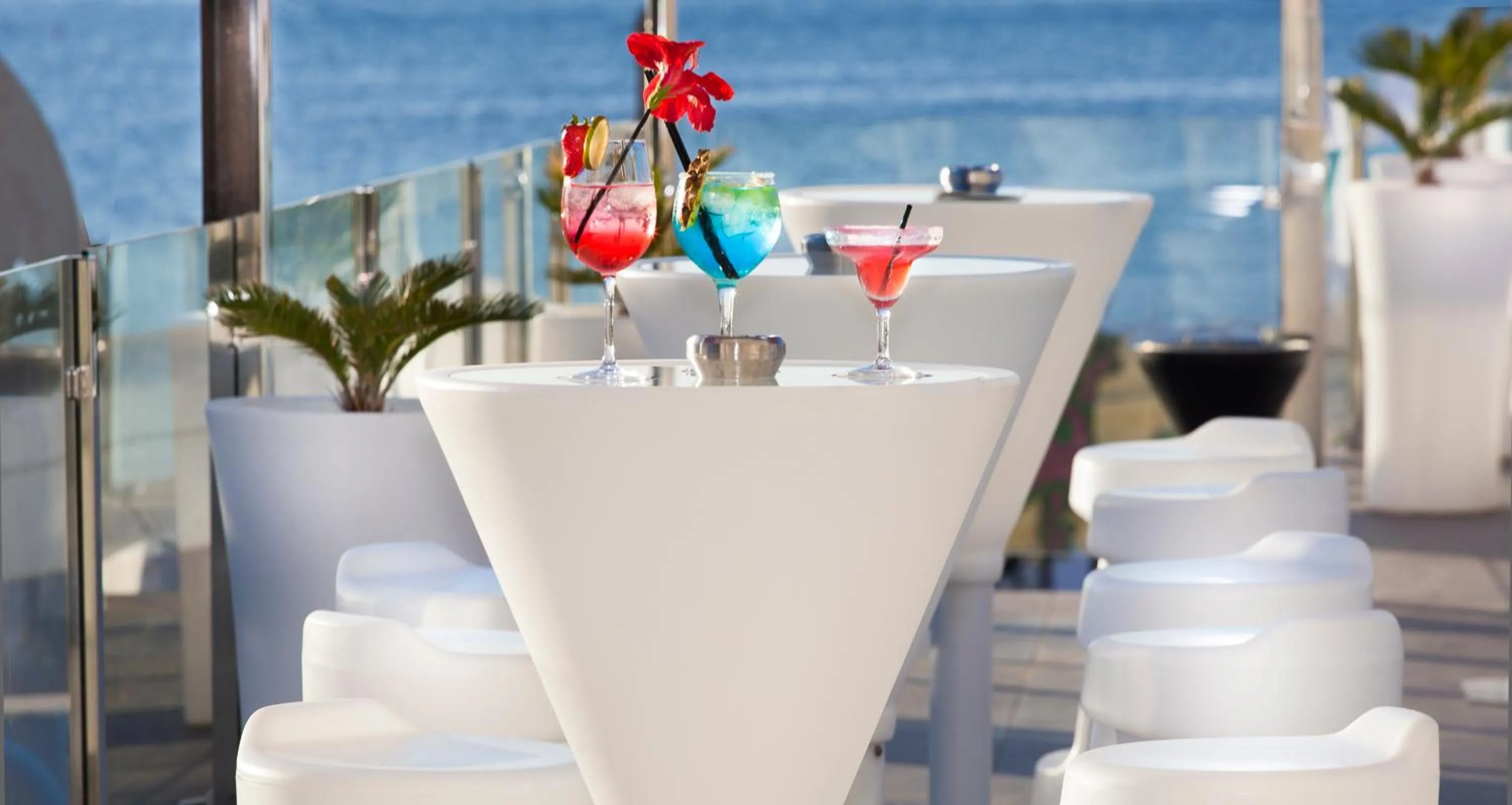 Lounge or bar in Typic Marina Playa - Adults Only