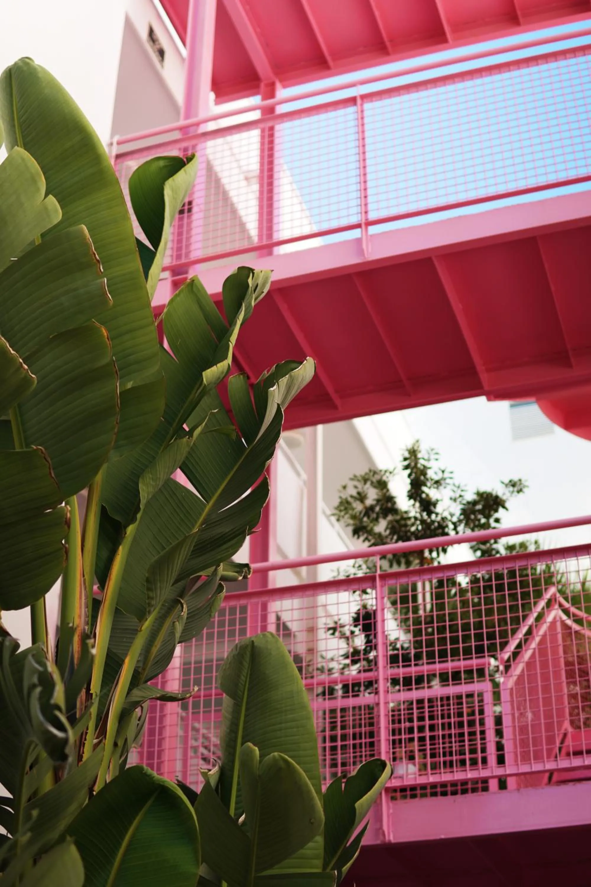 Garden in Typic Marina Playa - Adults Only