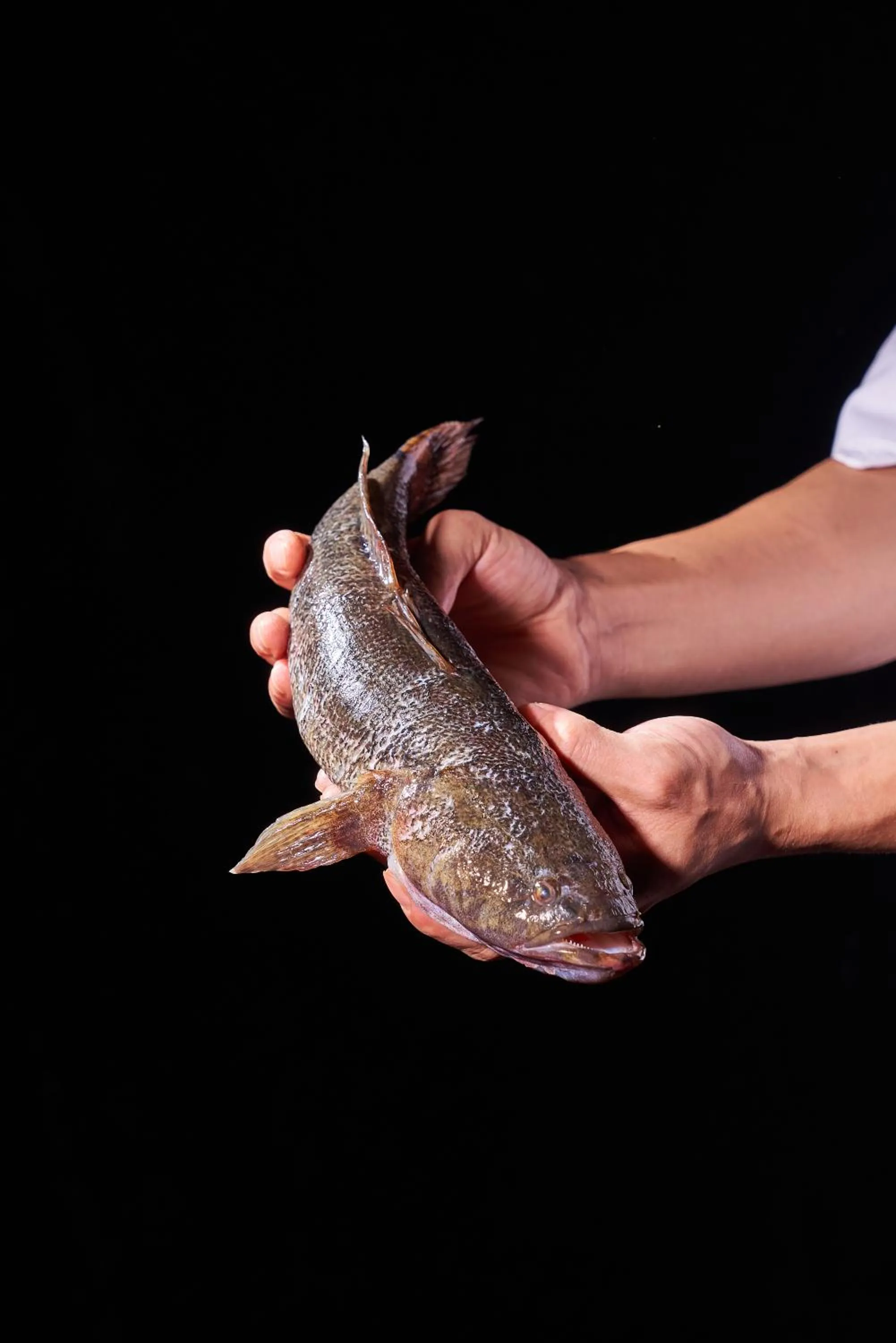 Restaurant/places to eat in Hilton Guangzhou Science City