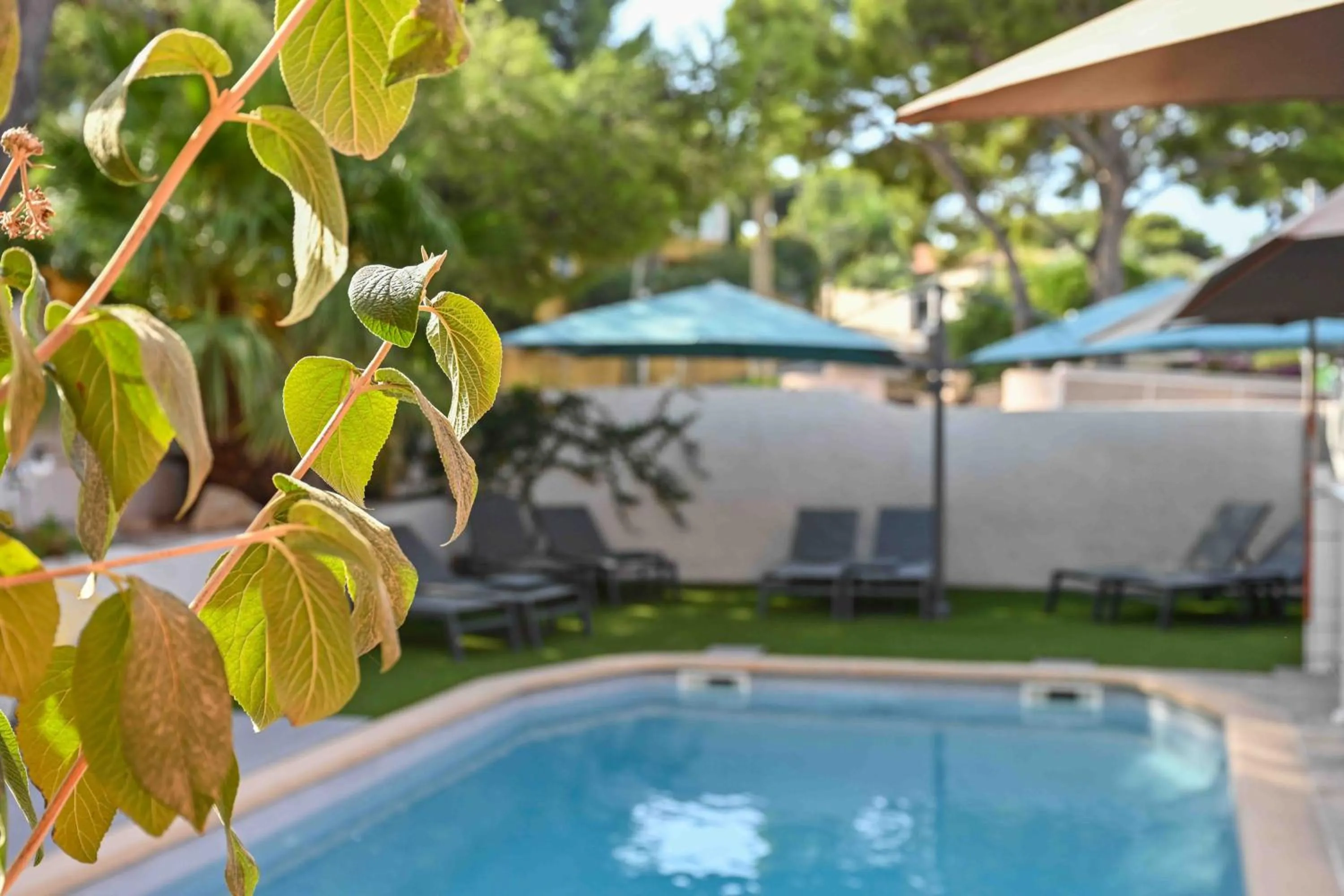 Day in Hotel La Tuiliere