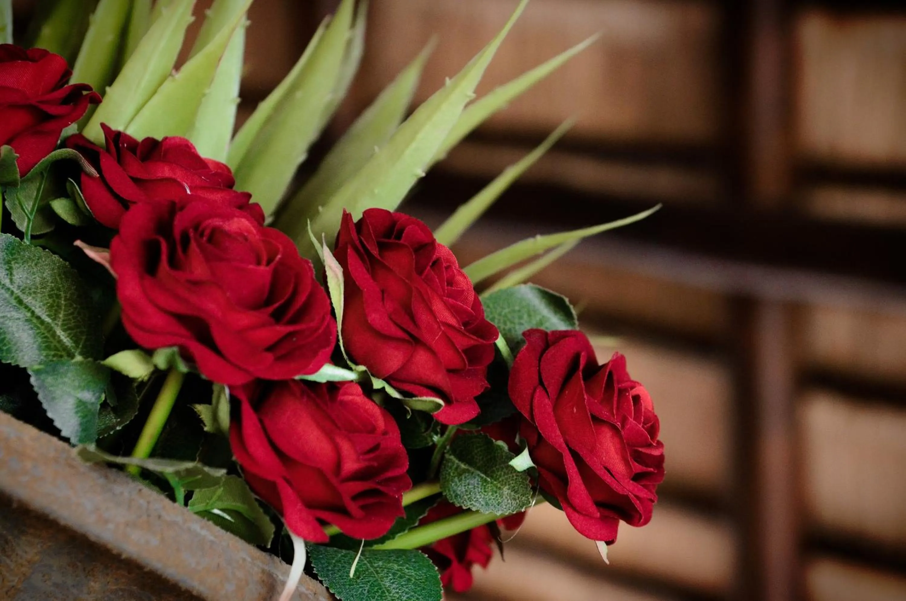 Other in Abella Bed and Breakfast