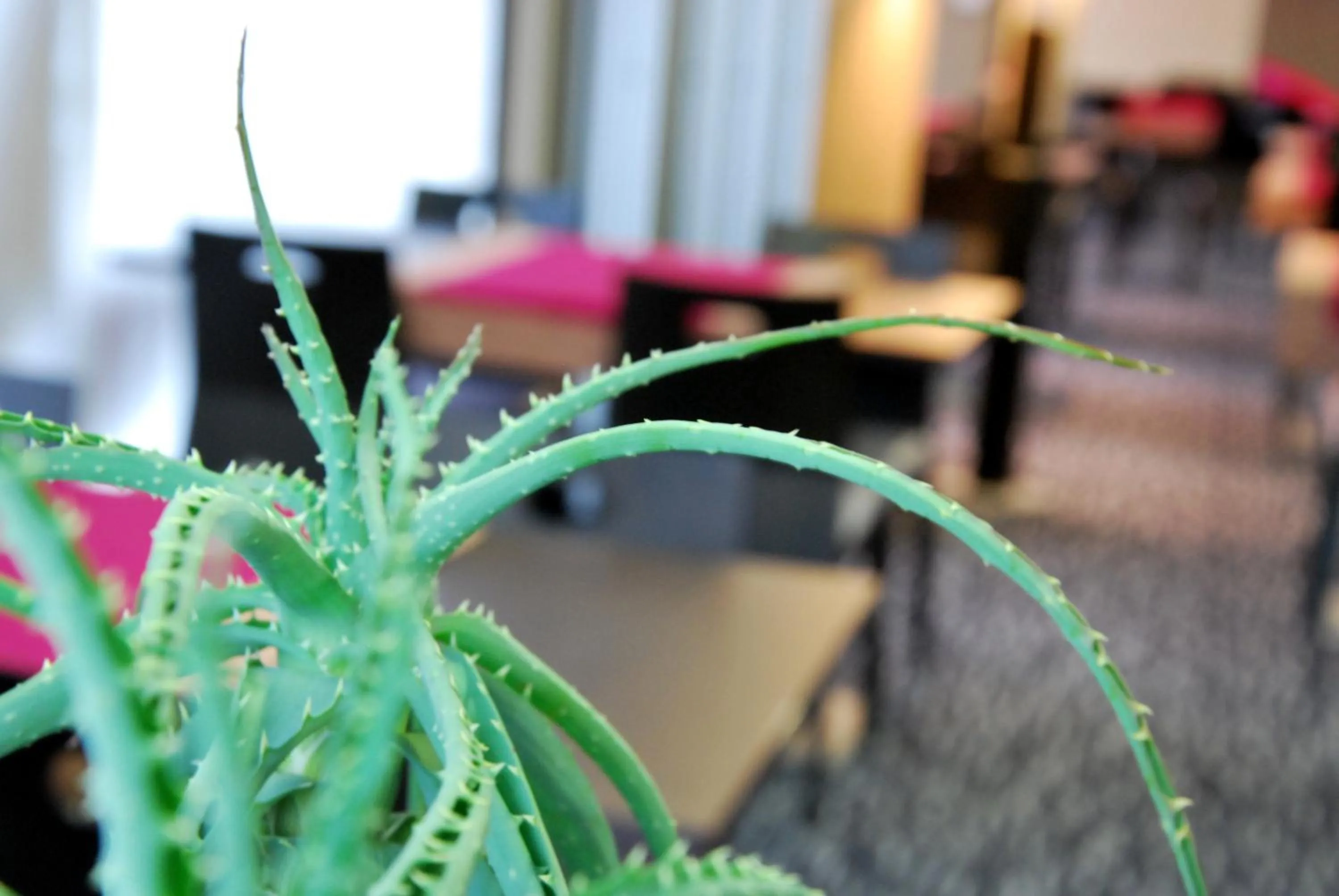 Park Hôtel & Appartements