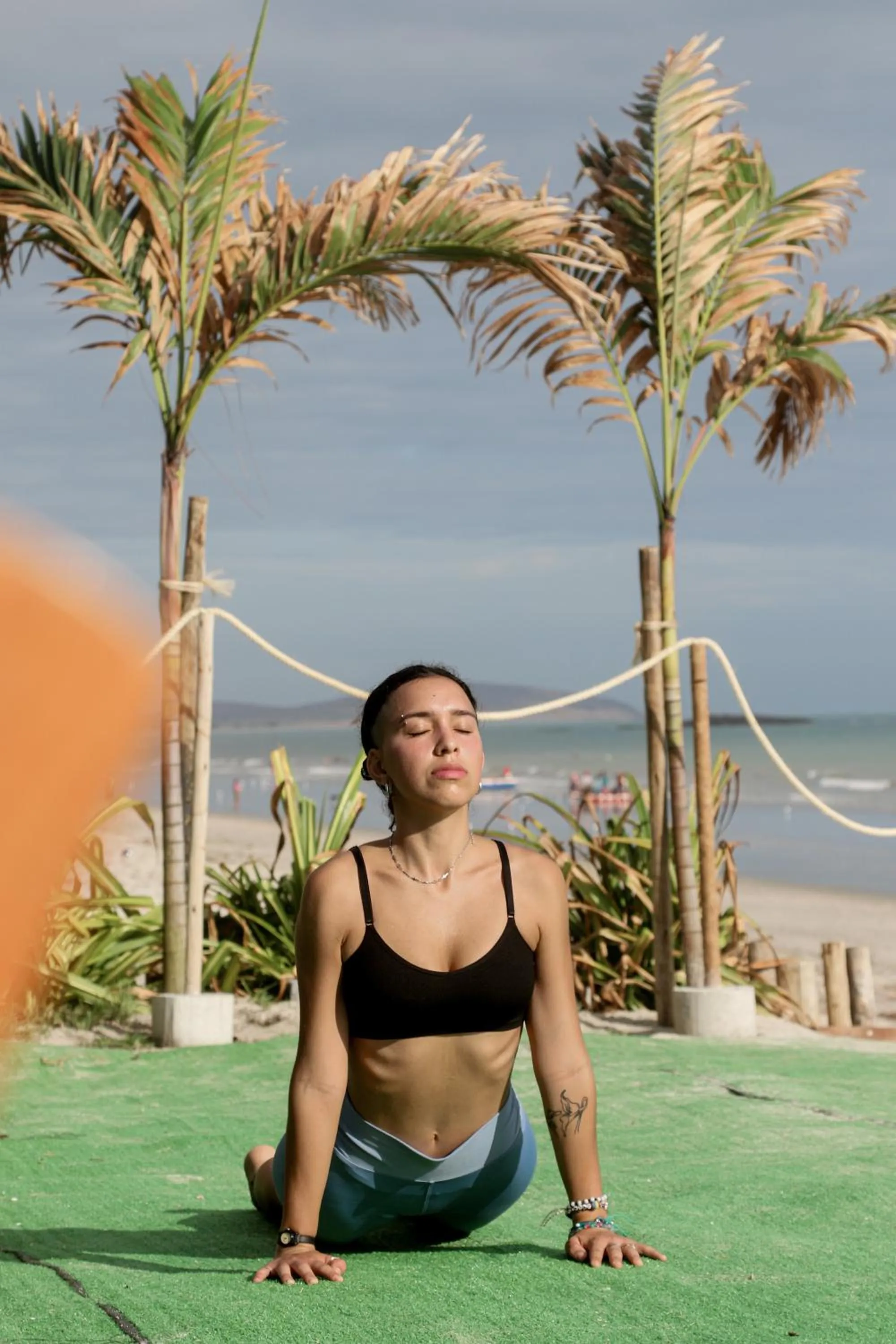 Garden in Cabaré Du Vento