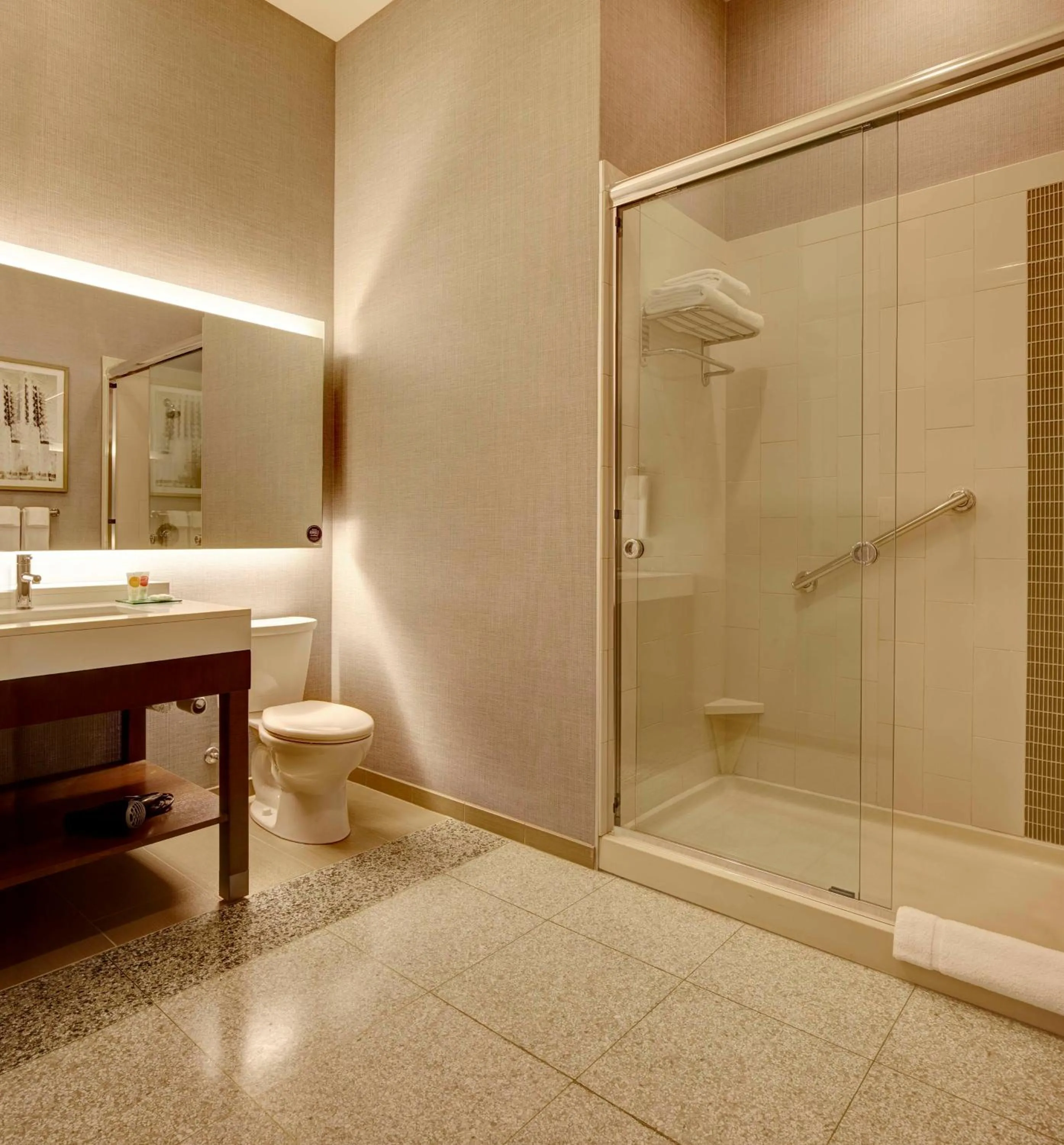 Bathroom in Hyatt Place St. Paul