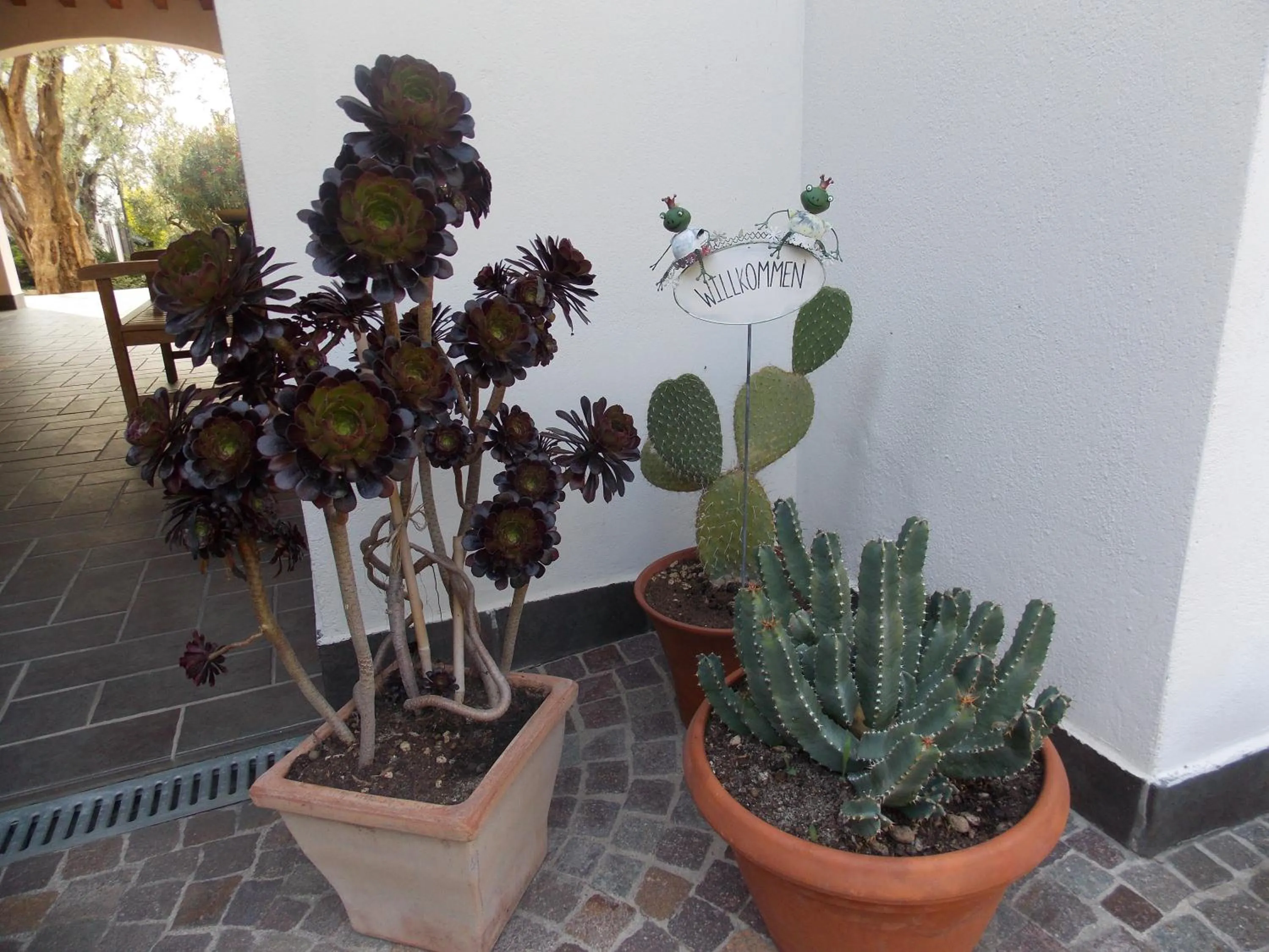 Facade/entrance in Residence Alesi