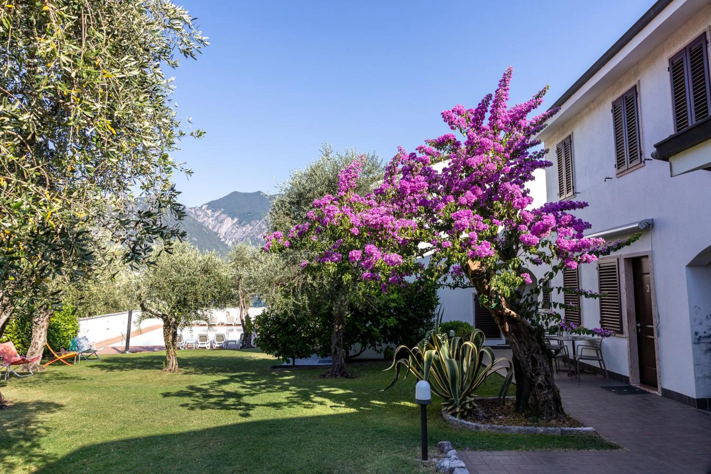 Property building in Residence Alesi