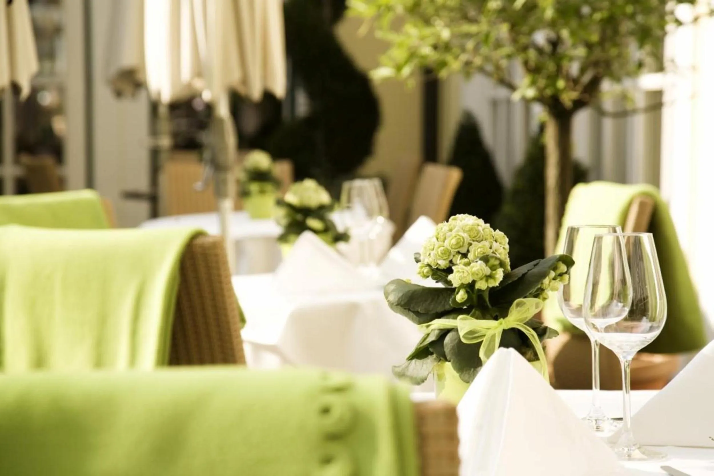 Garden in Hotel & Restaurant Stern