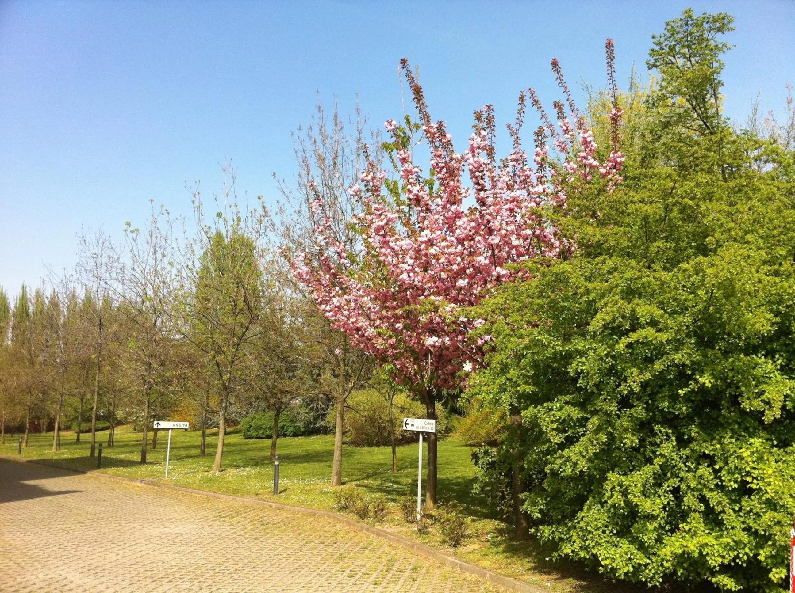 Other in Just Hotel Saronno