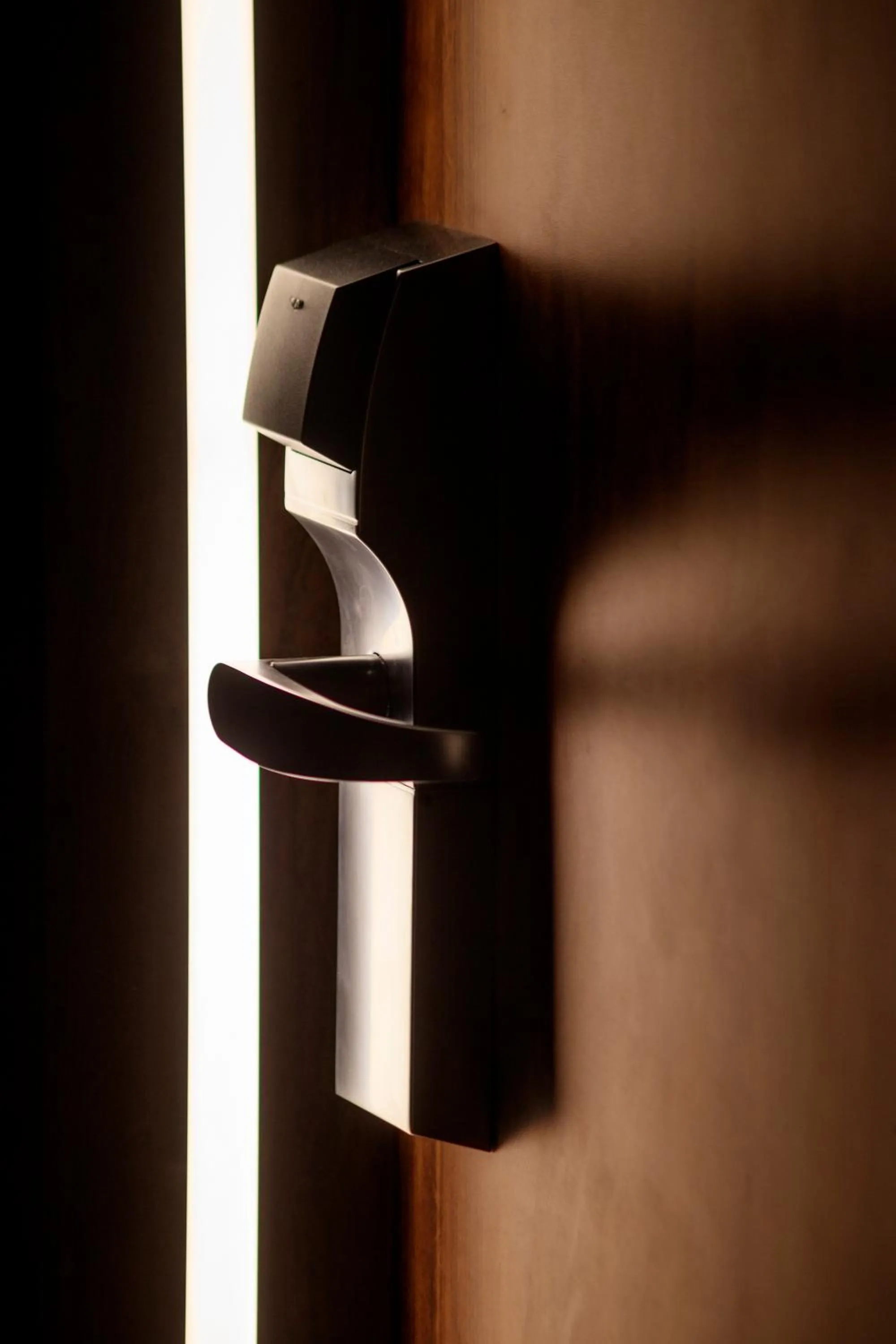 Area and facilities in Hotel Regal Pacific Santiago