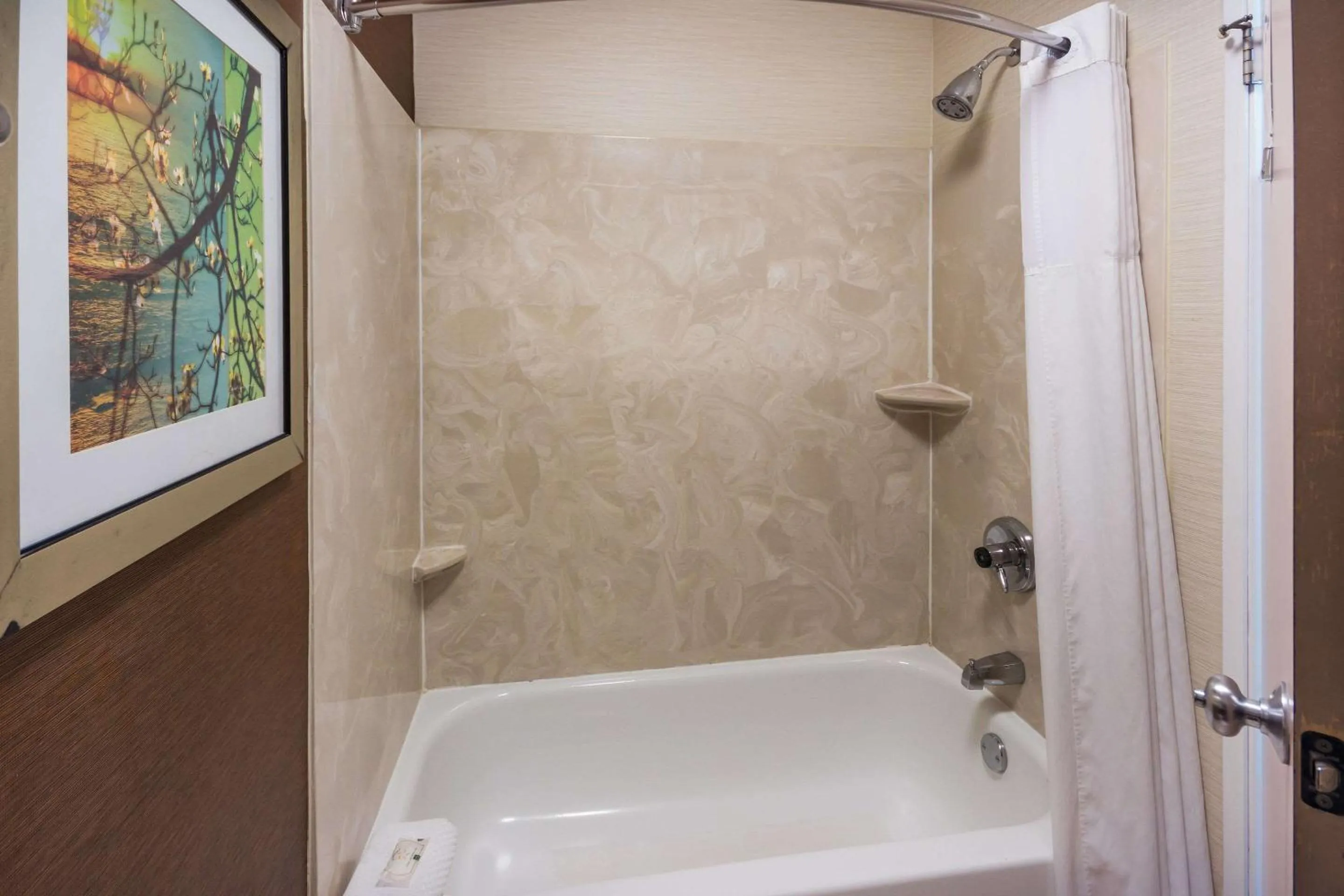 Bedroom in Quality Inn & Suites Bozeman