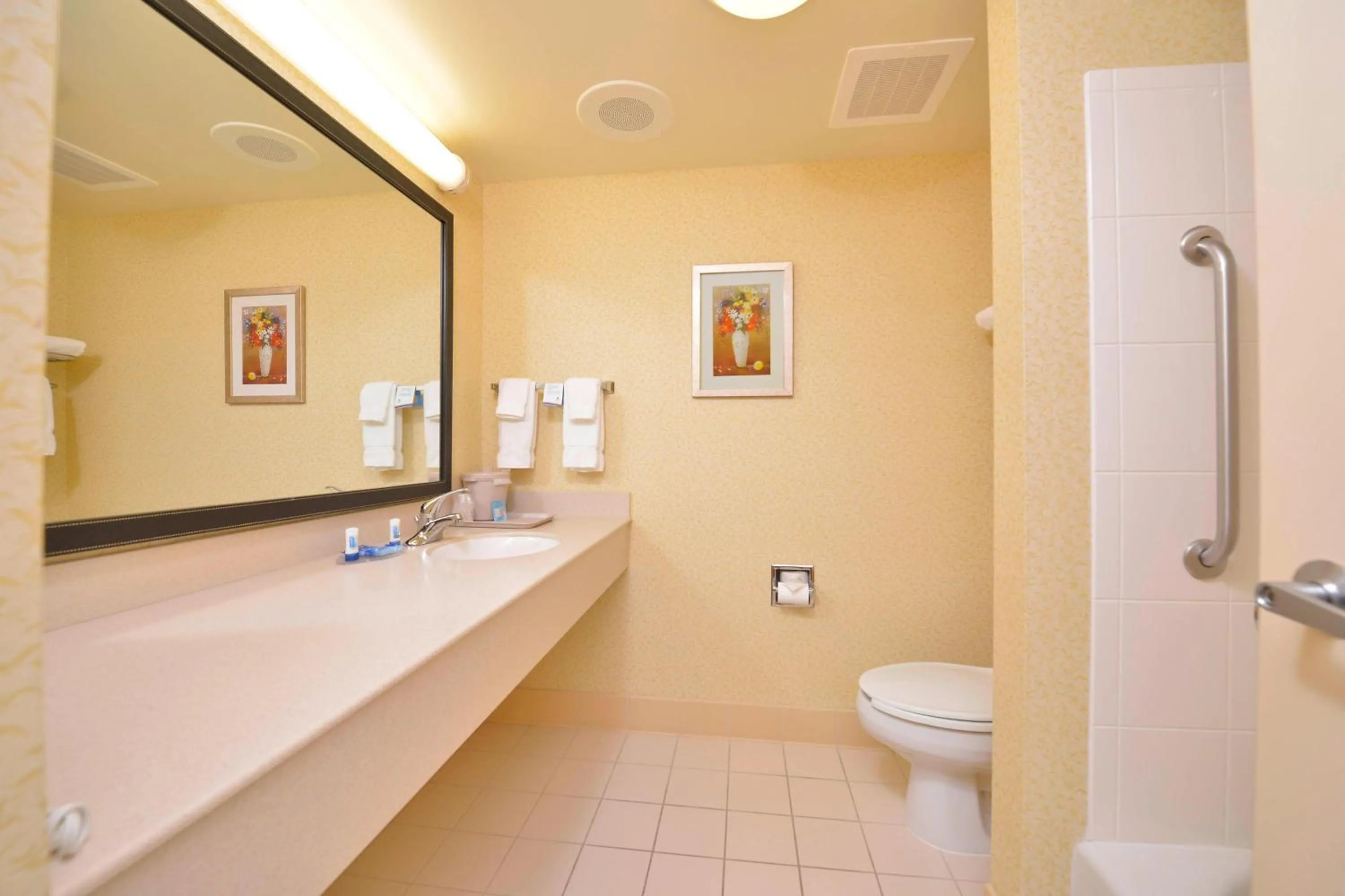 Bathroom in Fairfield Inn and Suites by Marriott Williamsport
