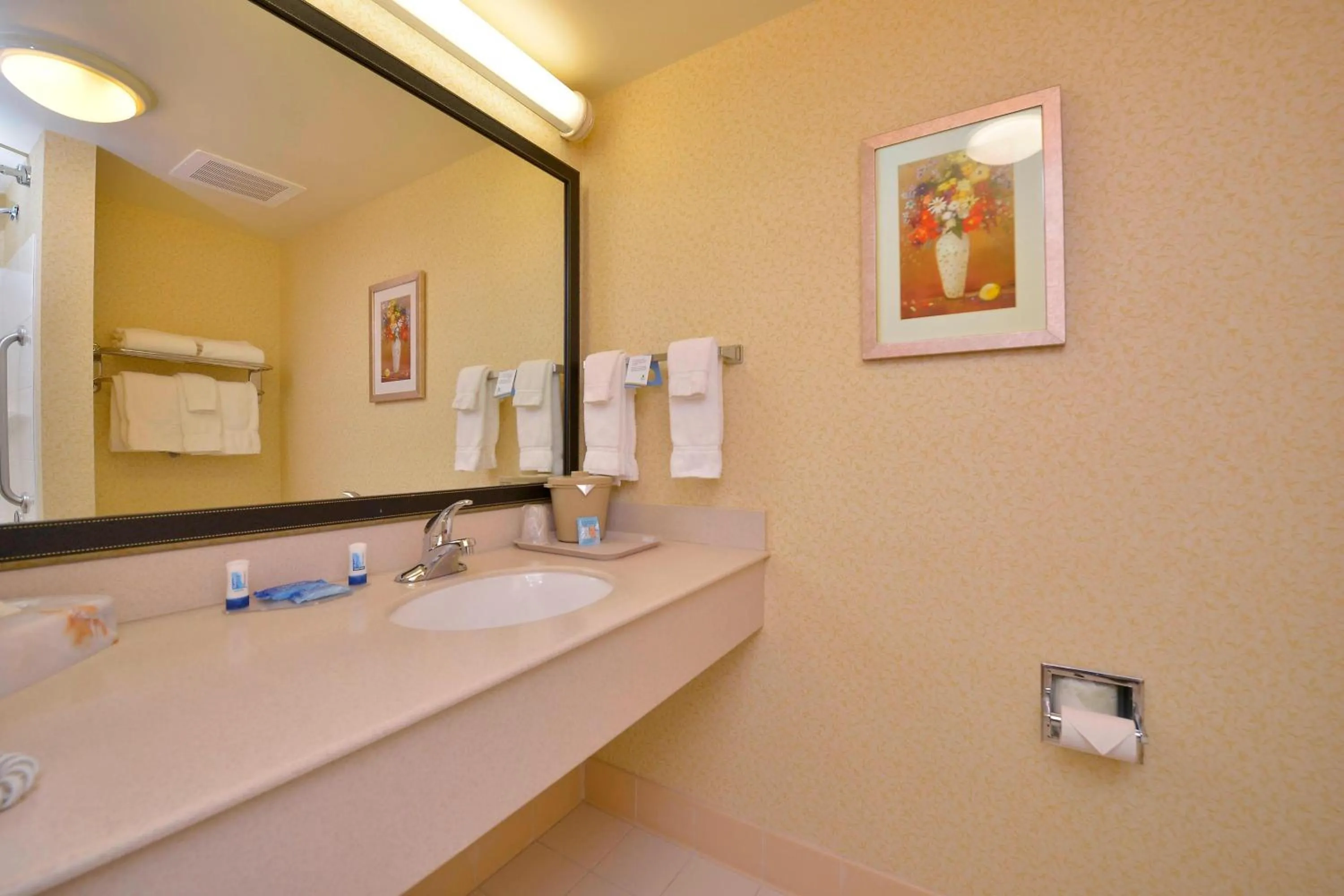 Bathroom in Fairfield Inn and Suites by Marriott Williamsport