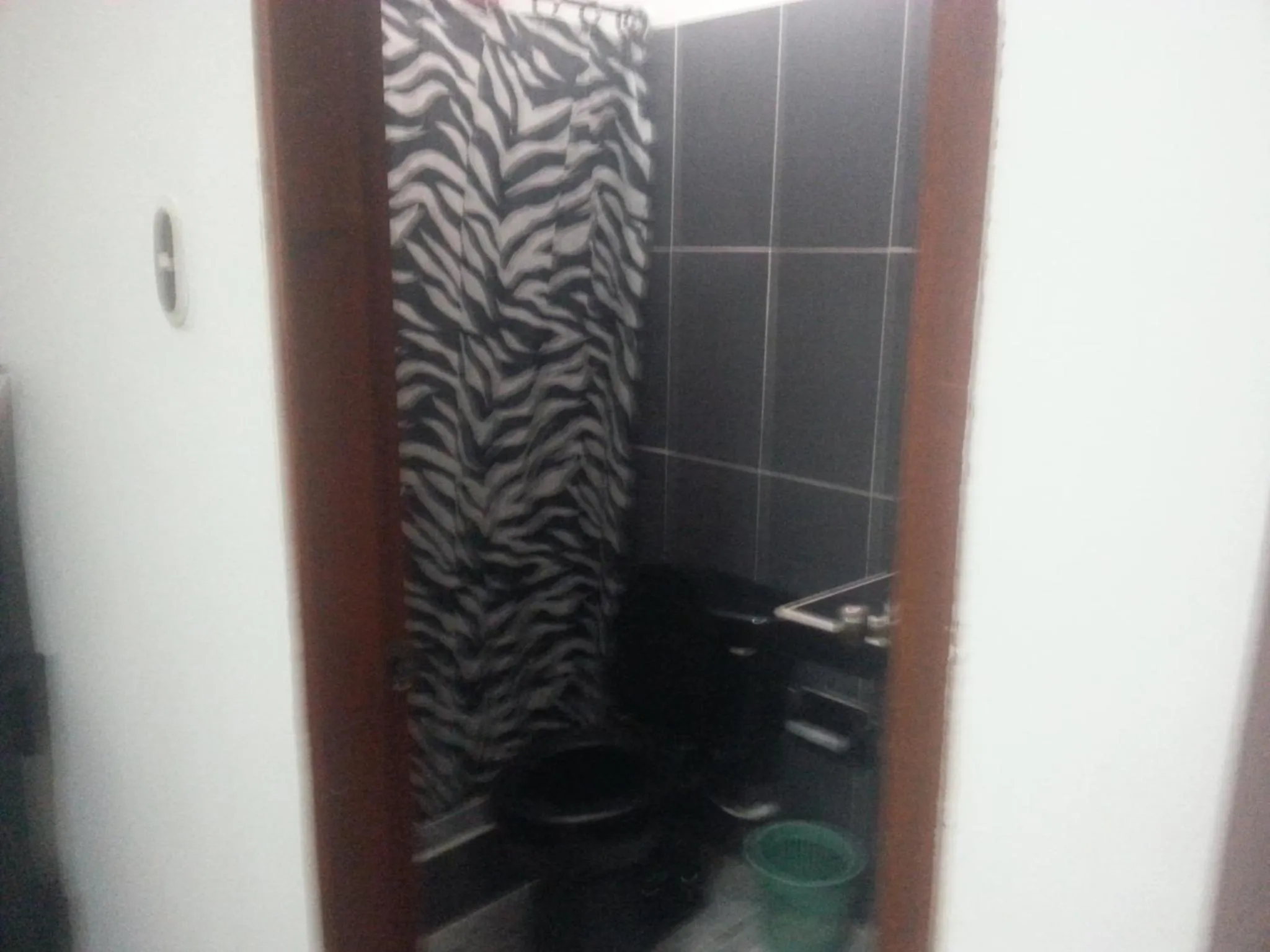 Bathroom in Hostal Selvatrip