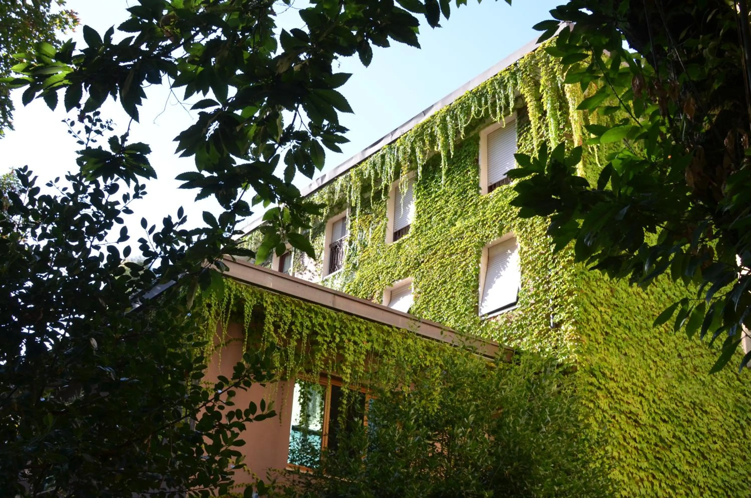 Facade/entrance in Hotel MariaLetizia