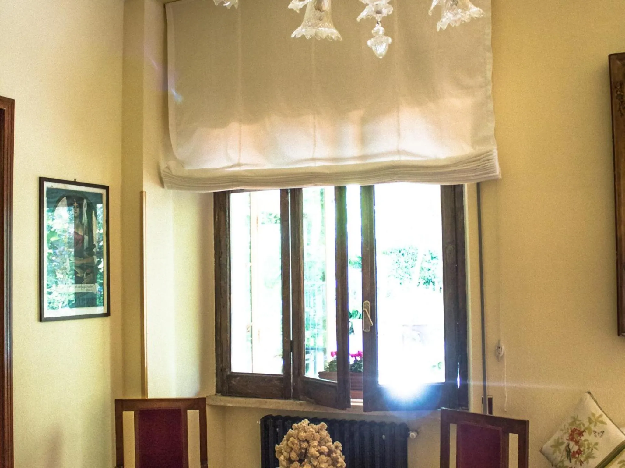 Garden view in Hotel MariaLetizia