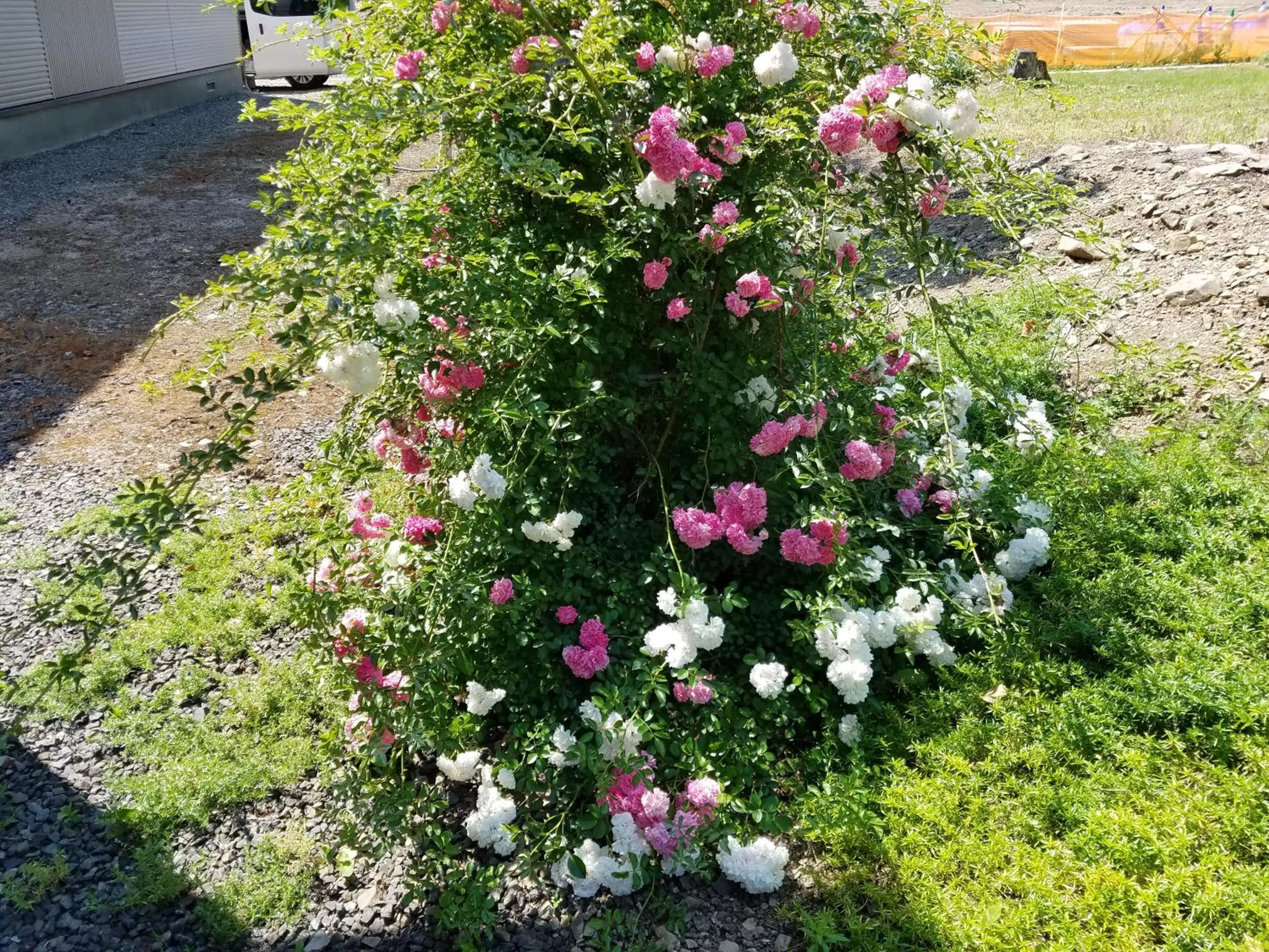 Property building in Cottage Morino Nakamatachi